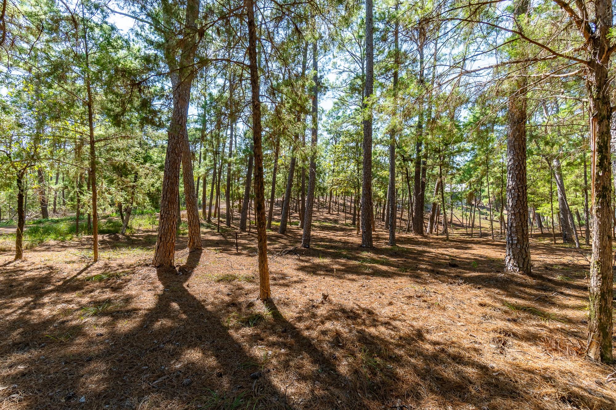 Tbd Red Fox Rd None Property Photo 8