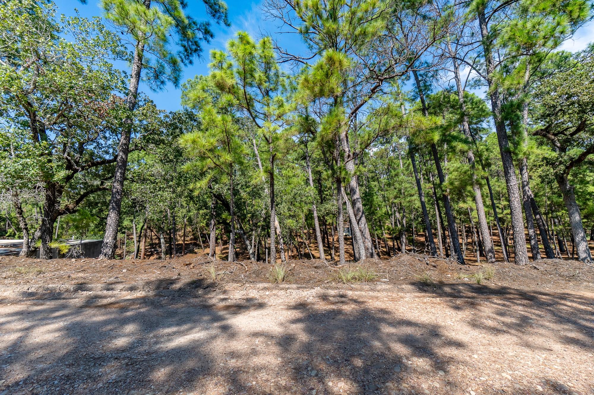 Tbd Red Fox Rd None Property Photo 9