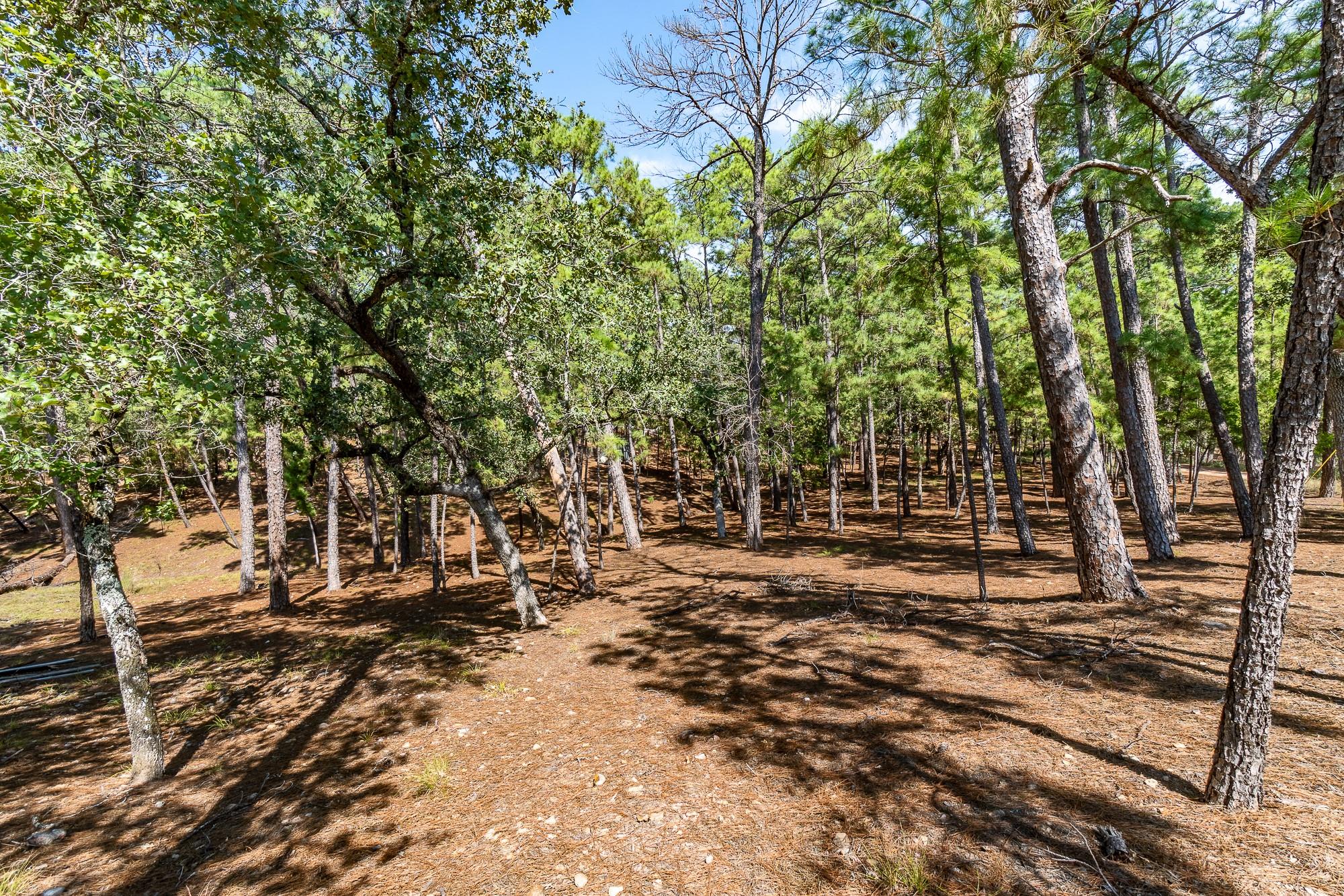 Tbd Red Fox Rd None Property Photo 10