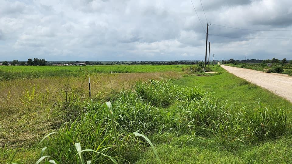 151 County Road 469 None Property Photo 1