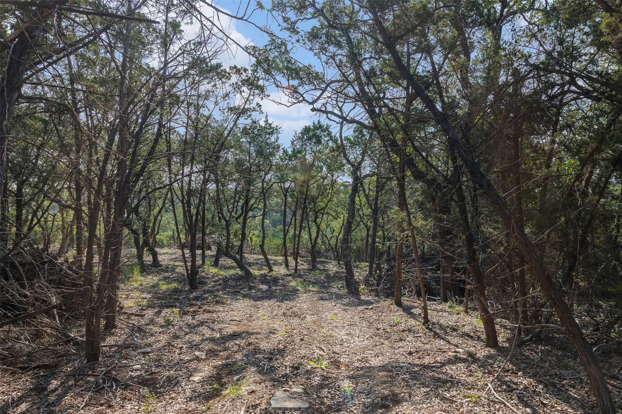 Tract 4 Mount Olive School Rd Property Photo 4