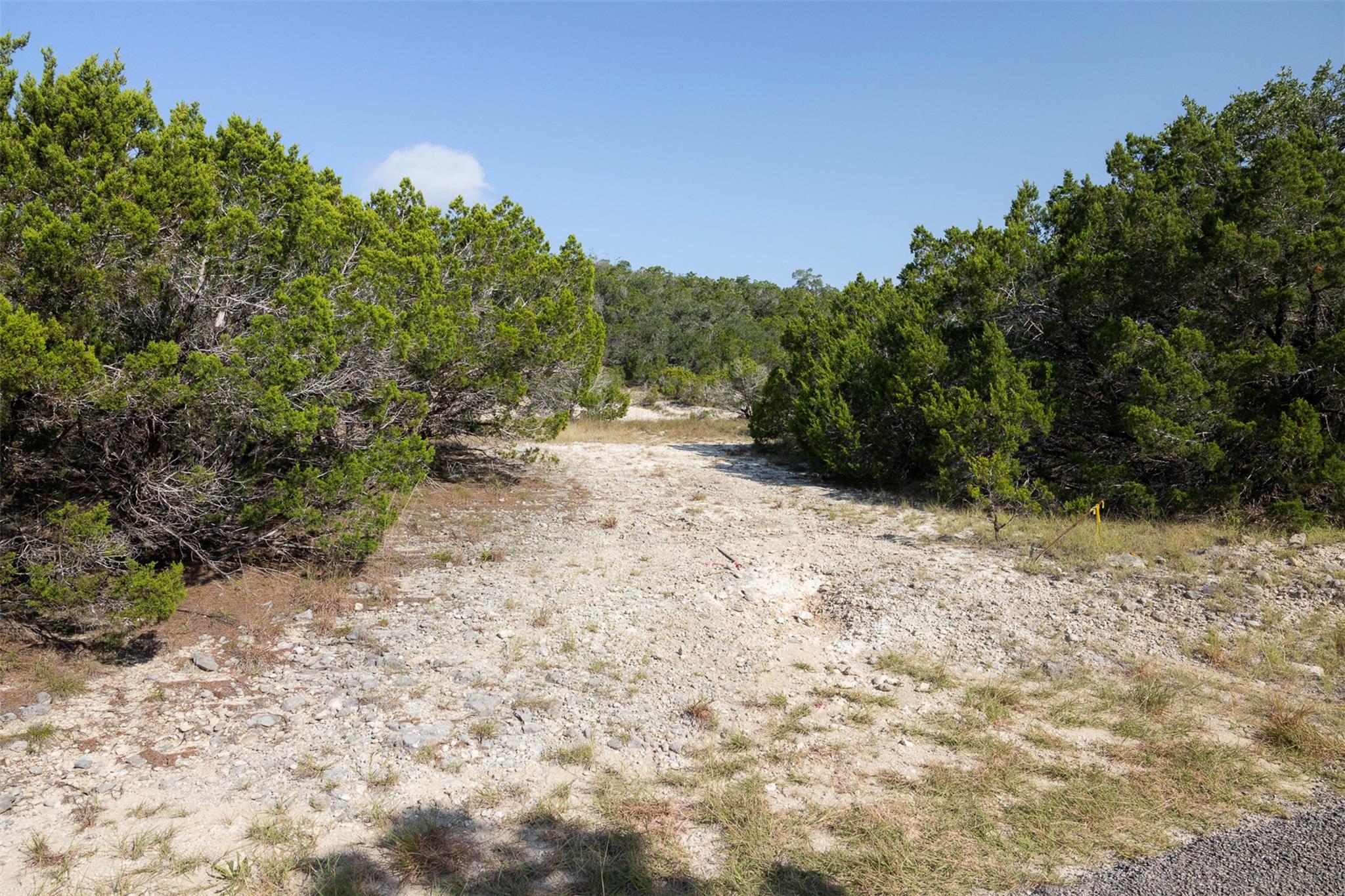 Tract 4 Mount Olive School Rd Property Photo 20