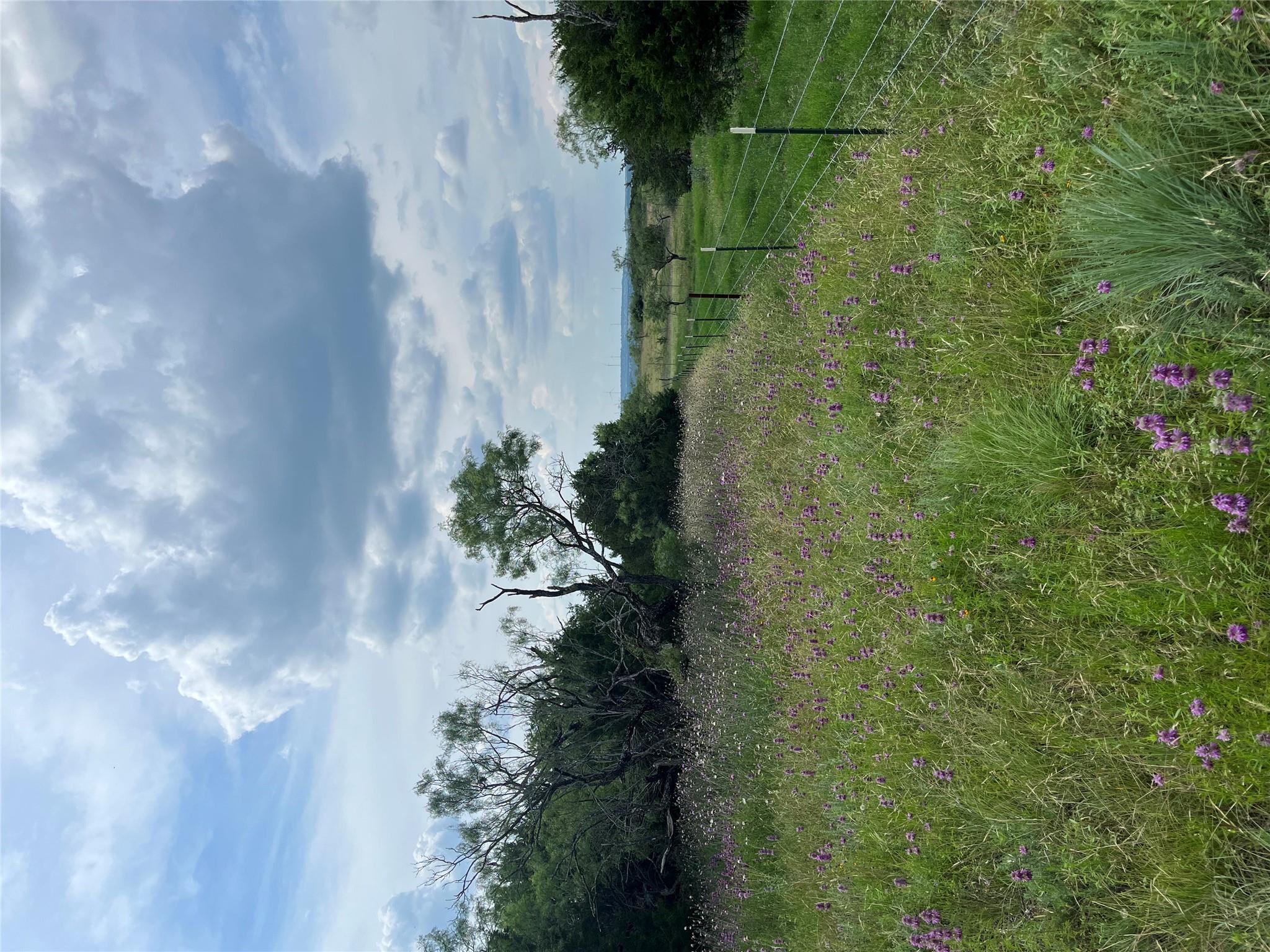 1745 County Road 2773 None Property Photo 16