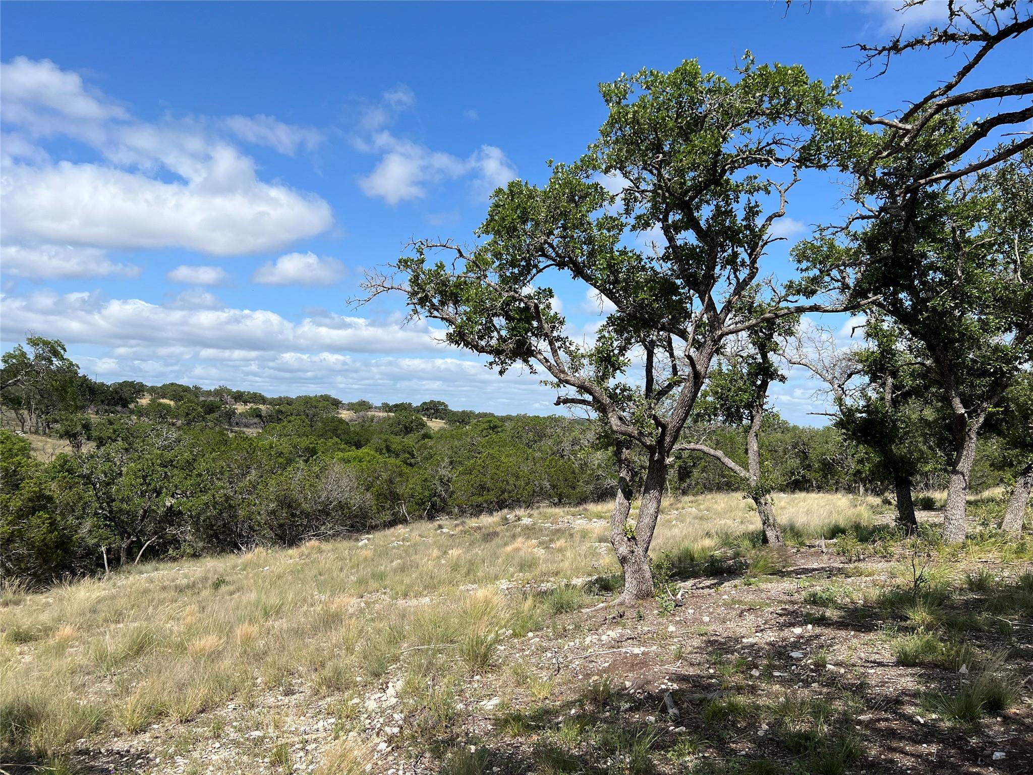 Lot 80 Seven Springs Rnch Property Photo 1