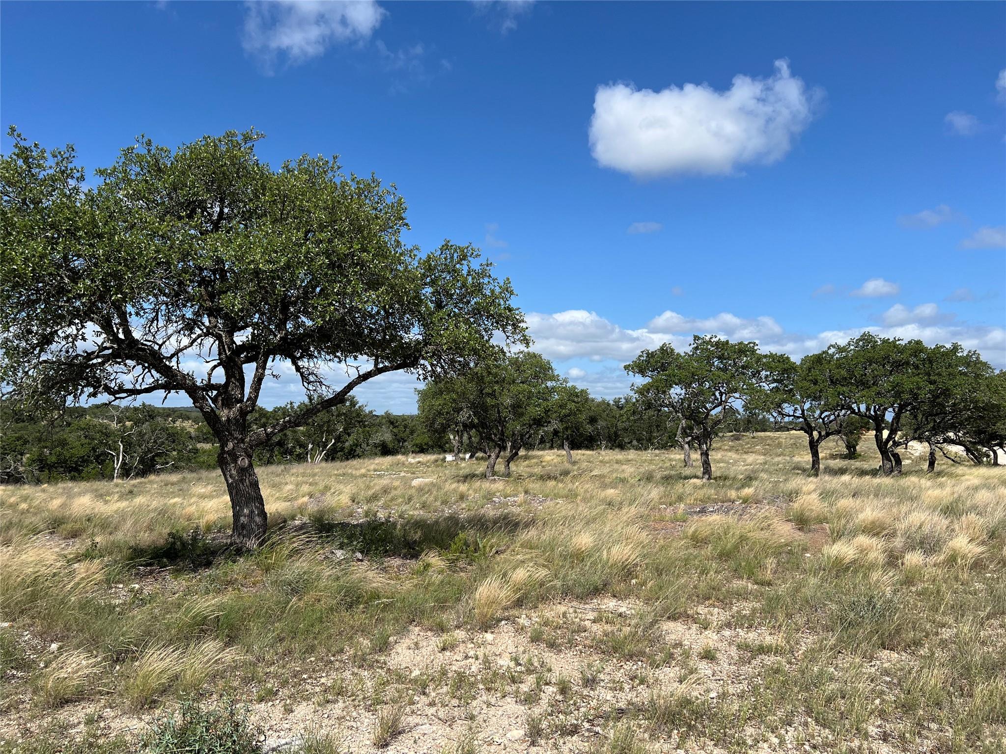 Lot 80 Seven Springs Rnch Property Photo 3