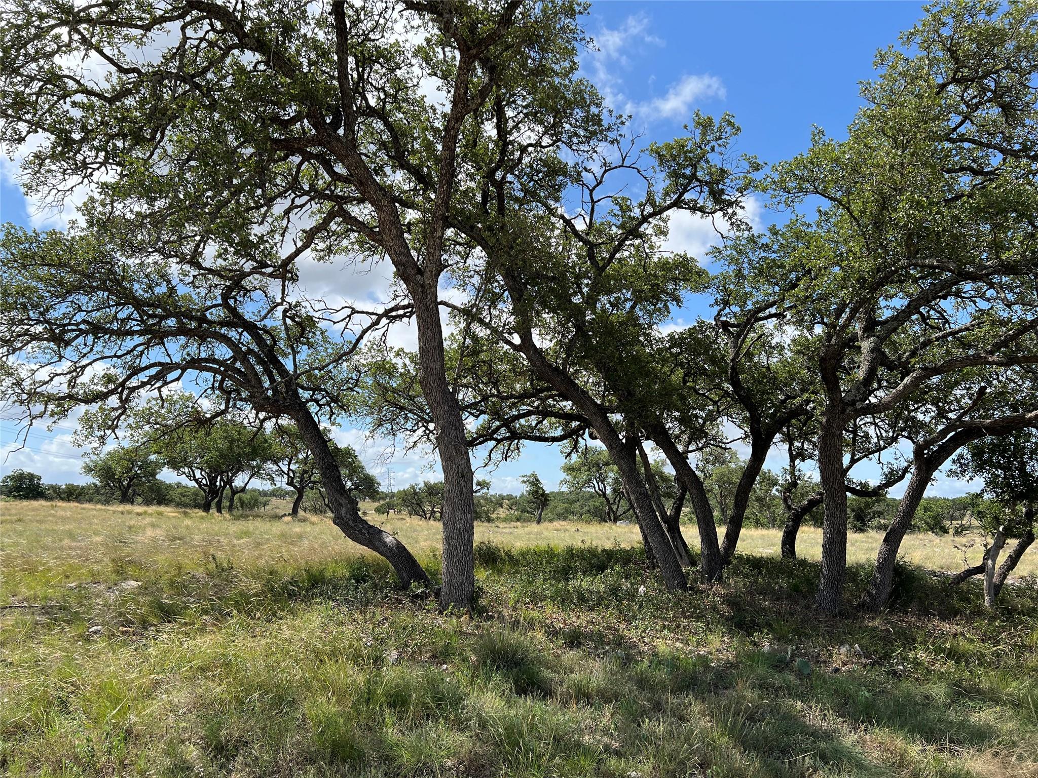 Lot 80 Seven Springs Rnch Property Photo 3