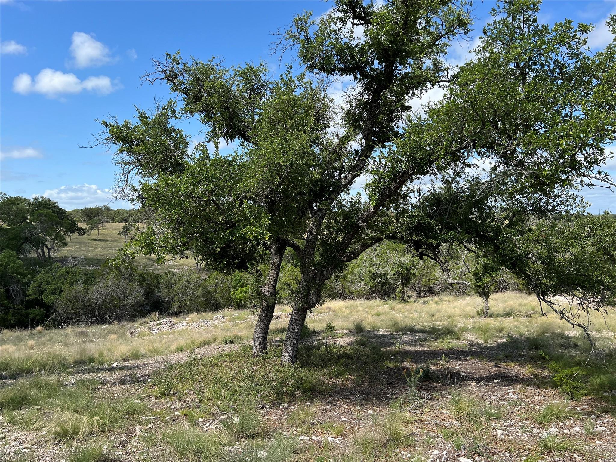 Lot 80 Seven Springs Rnch Property Photo 6