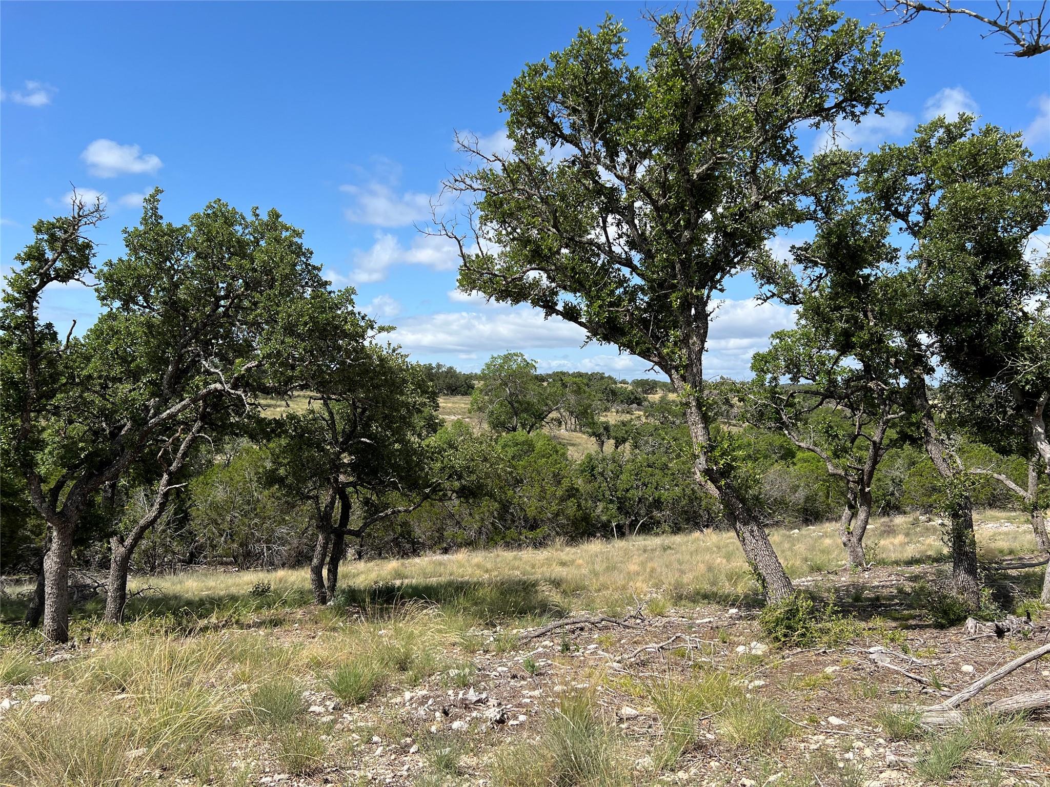 Lot 80 Seven Springs Rnch Property Photo 9