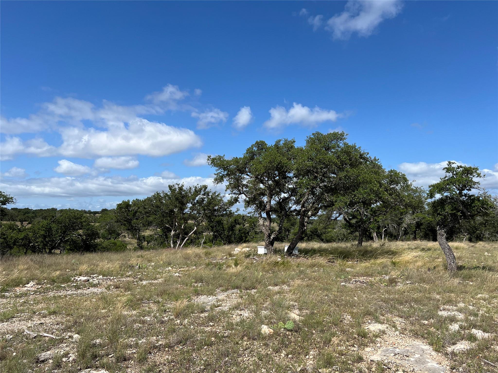Lot 80 Seven Springs Rnch Property Photo 10