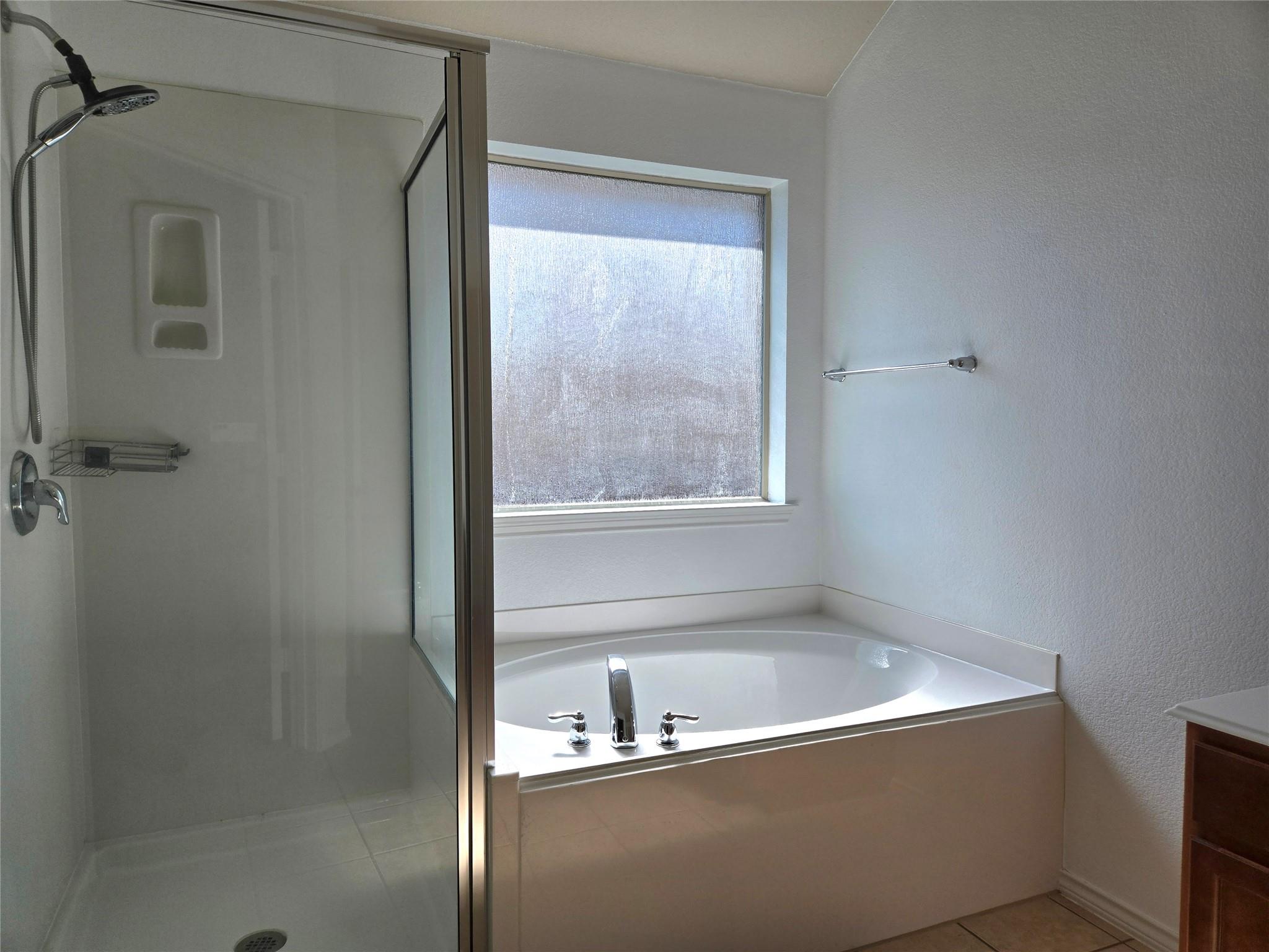 520 Brown Juniper Way Property Photo 12