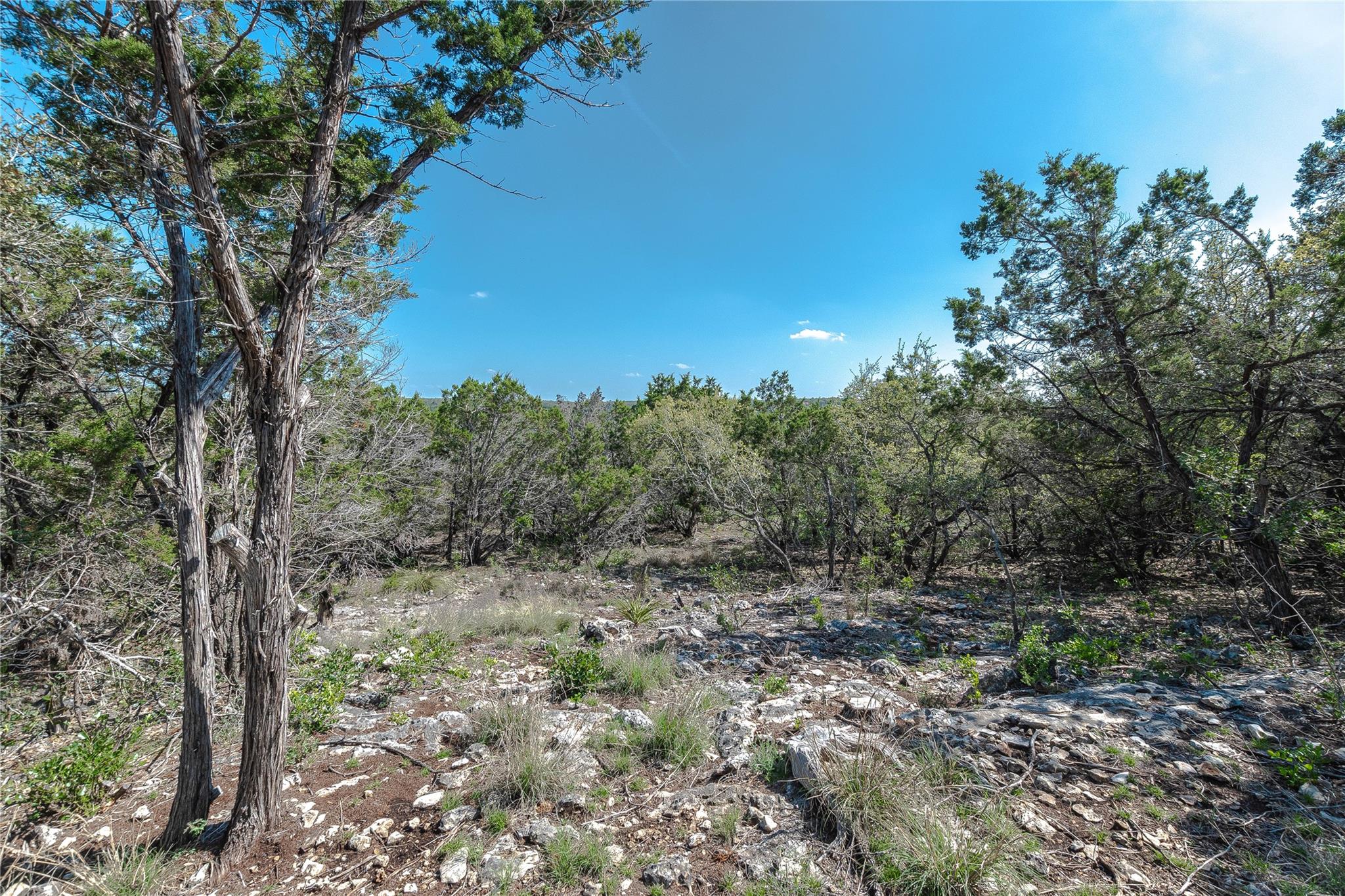 3470 Summit Dr Property Photo 3