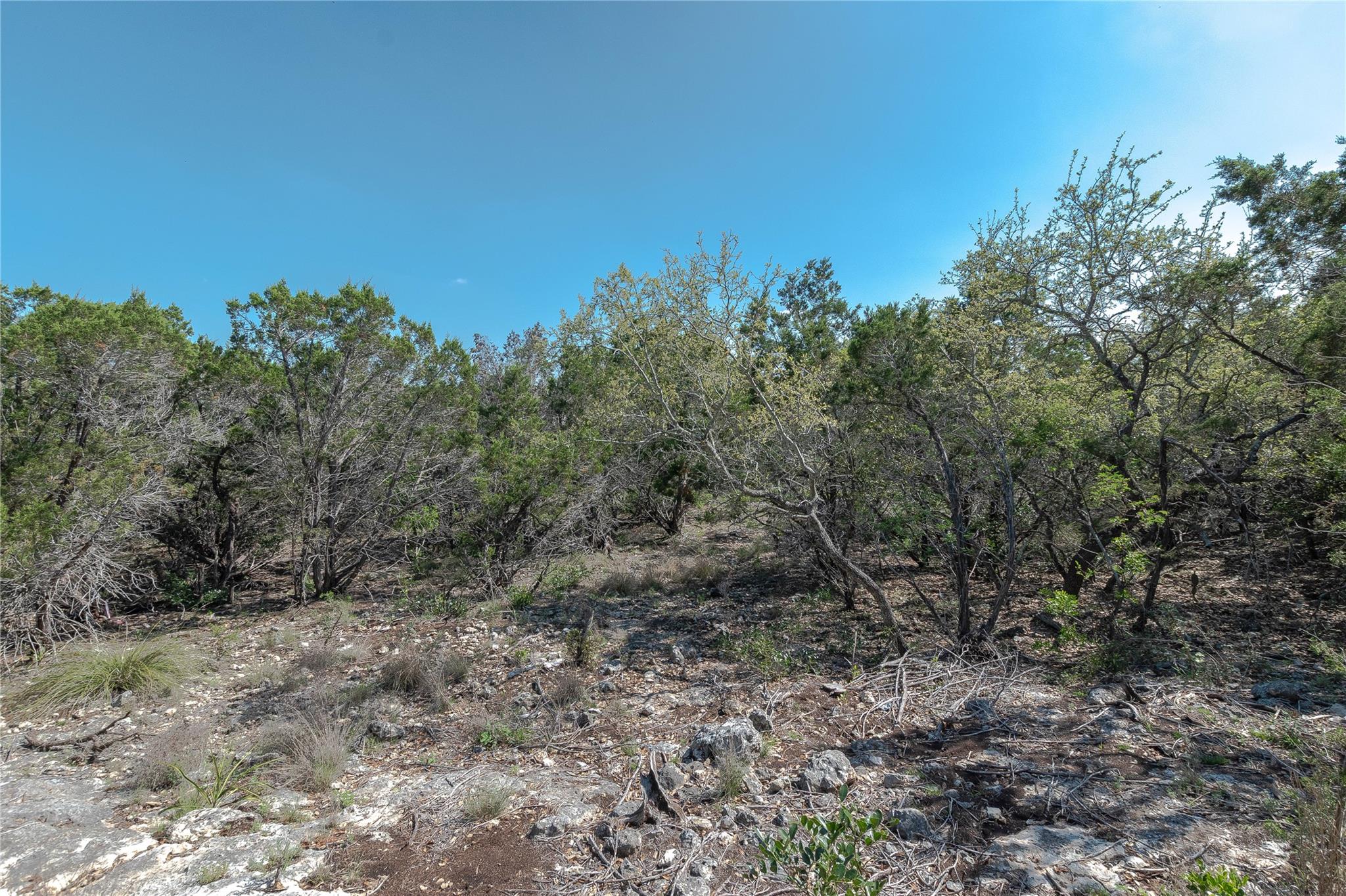 3470 Summit Dr Property Photo 4