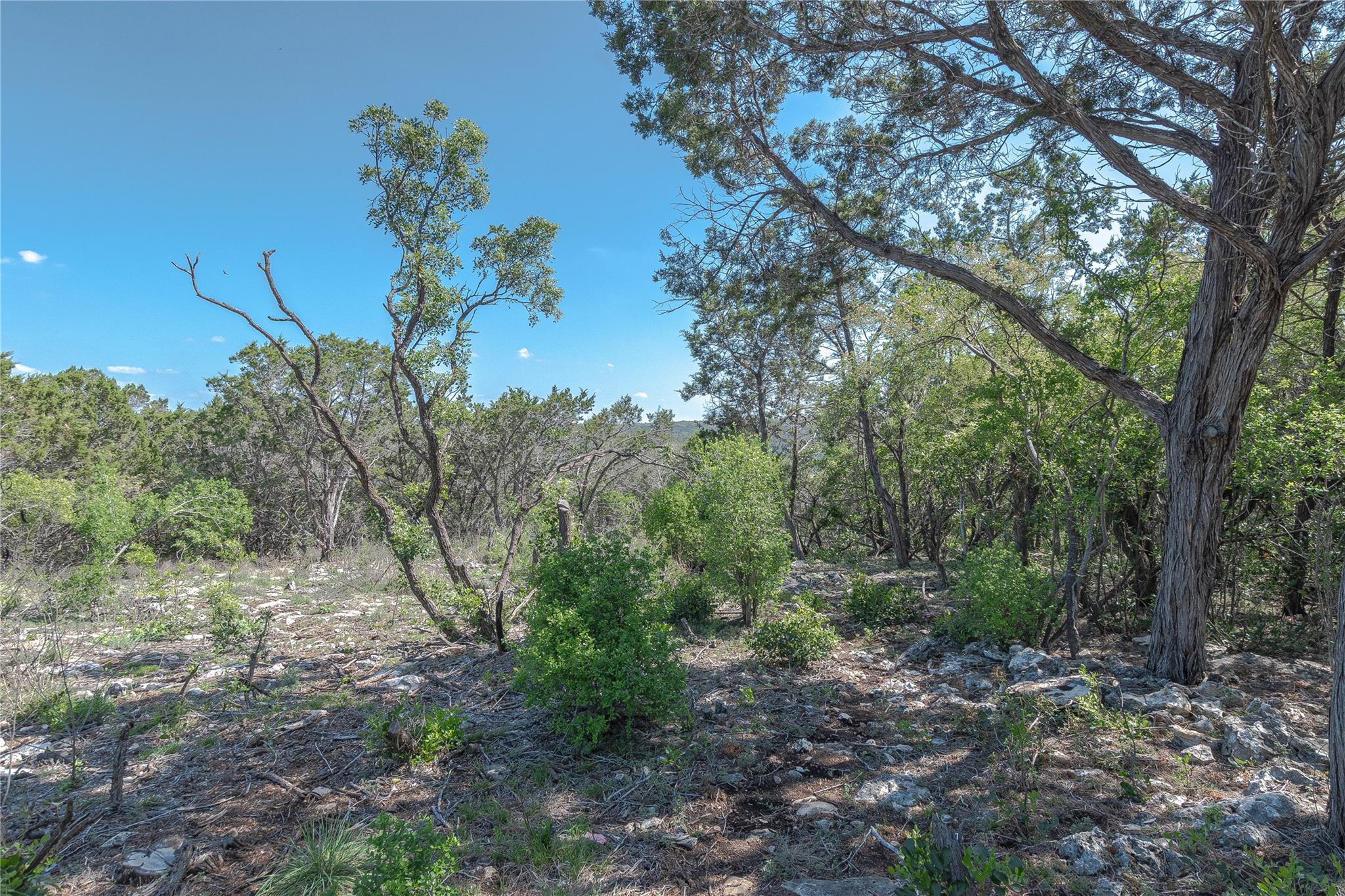 3470 Summit Dr Property Photo 9