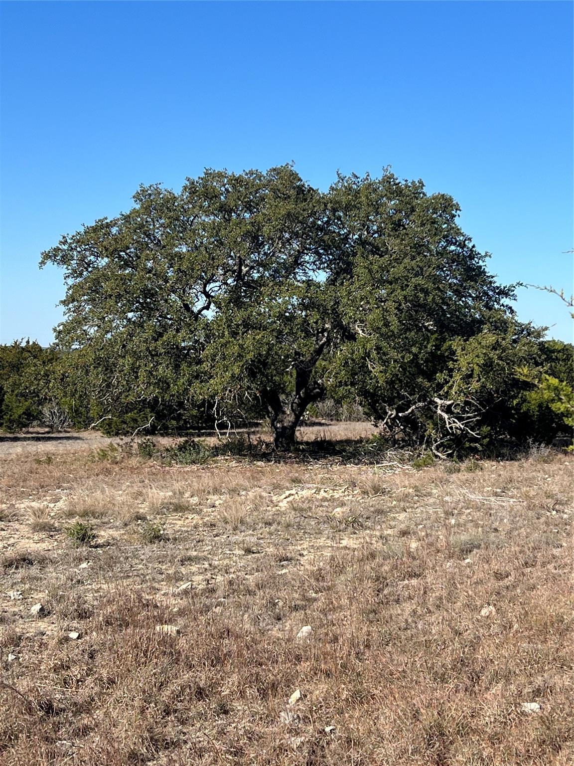 Lot 138 High Point Dr Property Photo 4