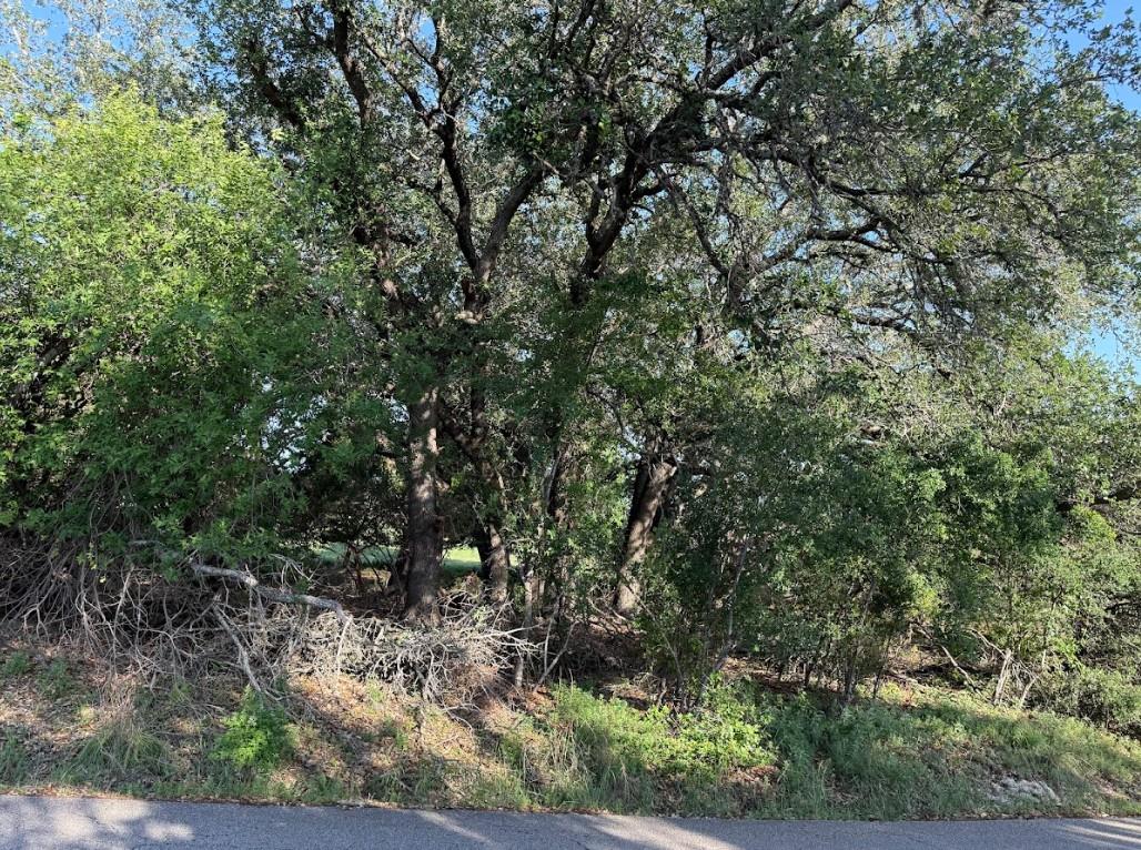 4209 Rockwood Dr Property Photo 4