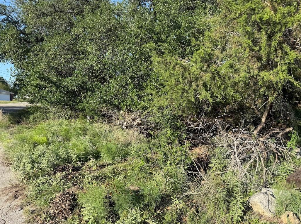 4209 Rockwood Dr Property Photo 8