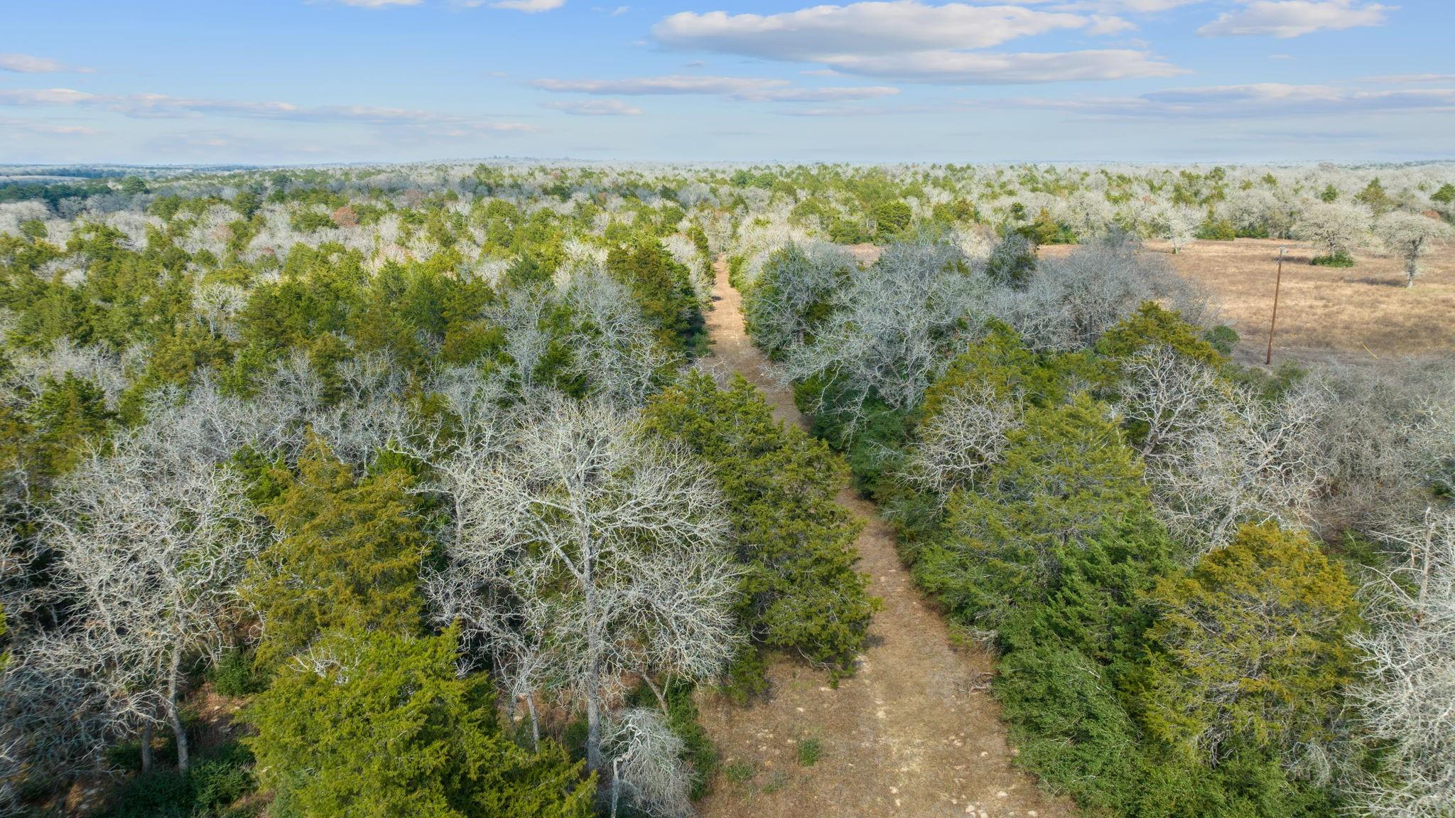 16945 Fm-713 Property Photo 5