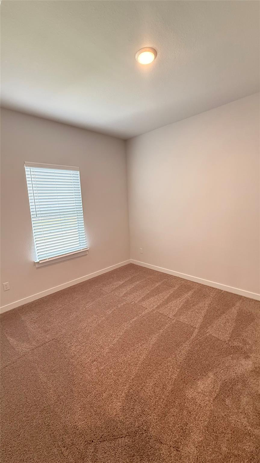 83 Hereford Loop Property Photo 17