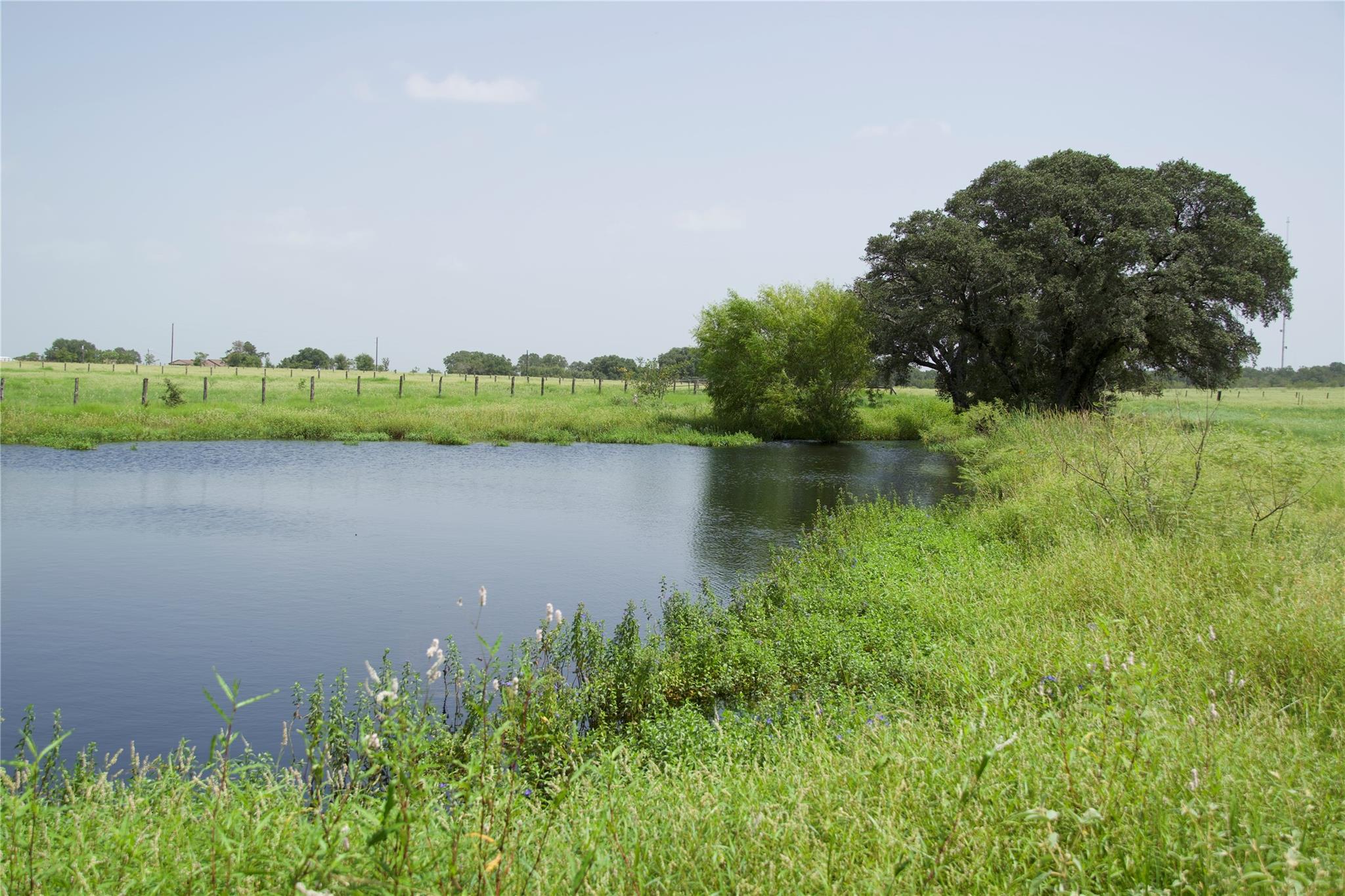 Tbd County Road 408 Rd Property Photo 8