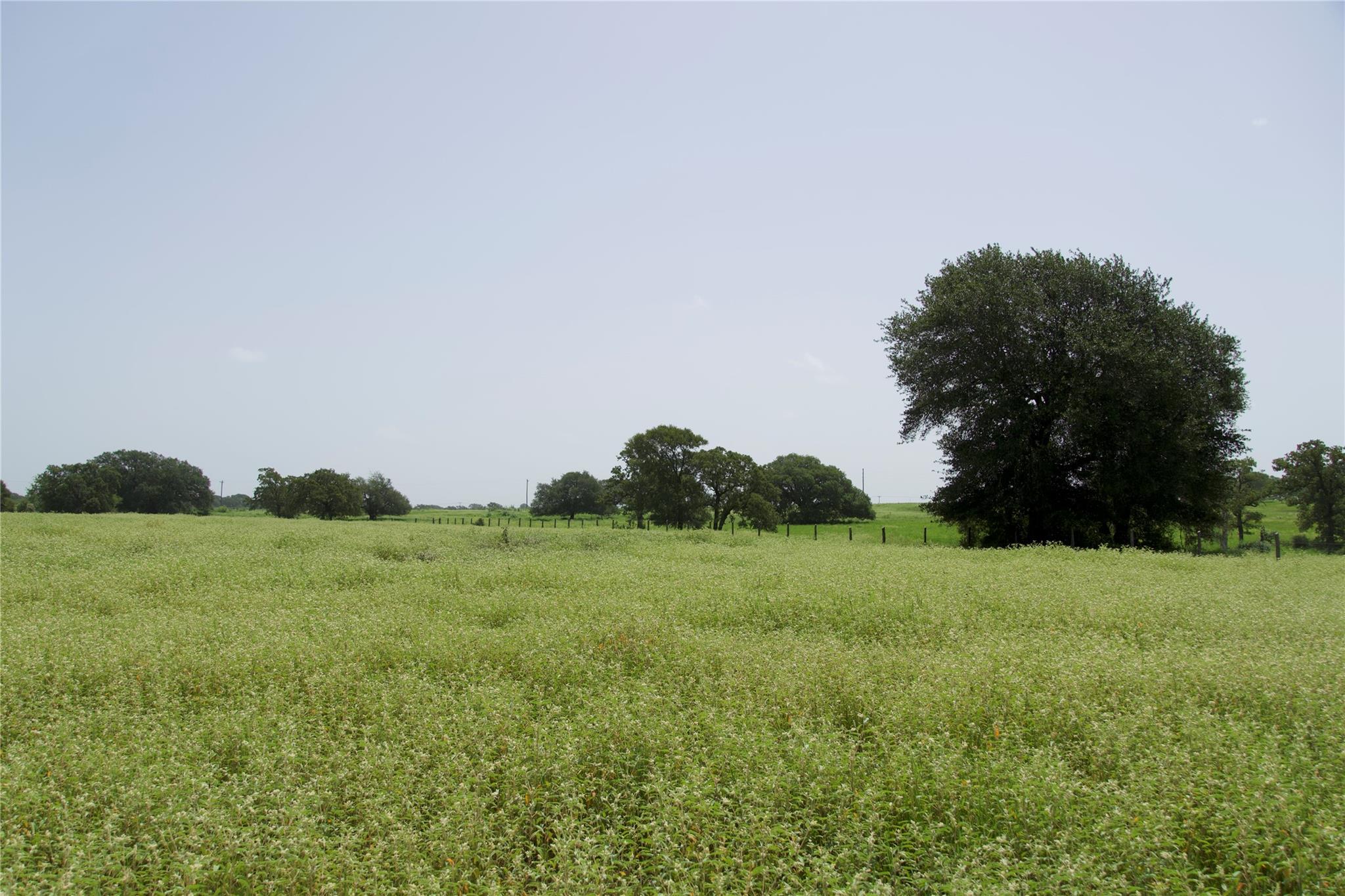 Tbd County Road 408 Rd Property Photo 9