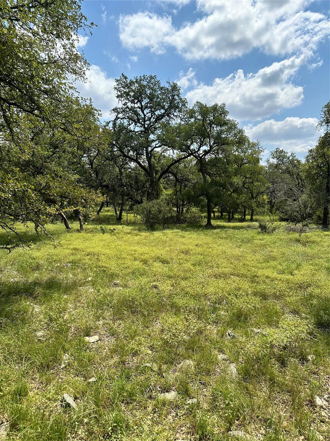 Chimney Valley Chimney Valley Rd Property Photo 4