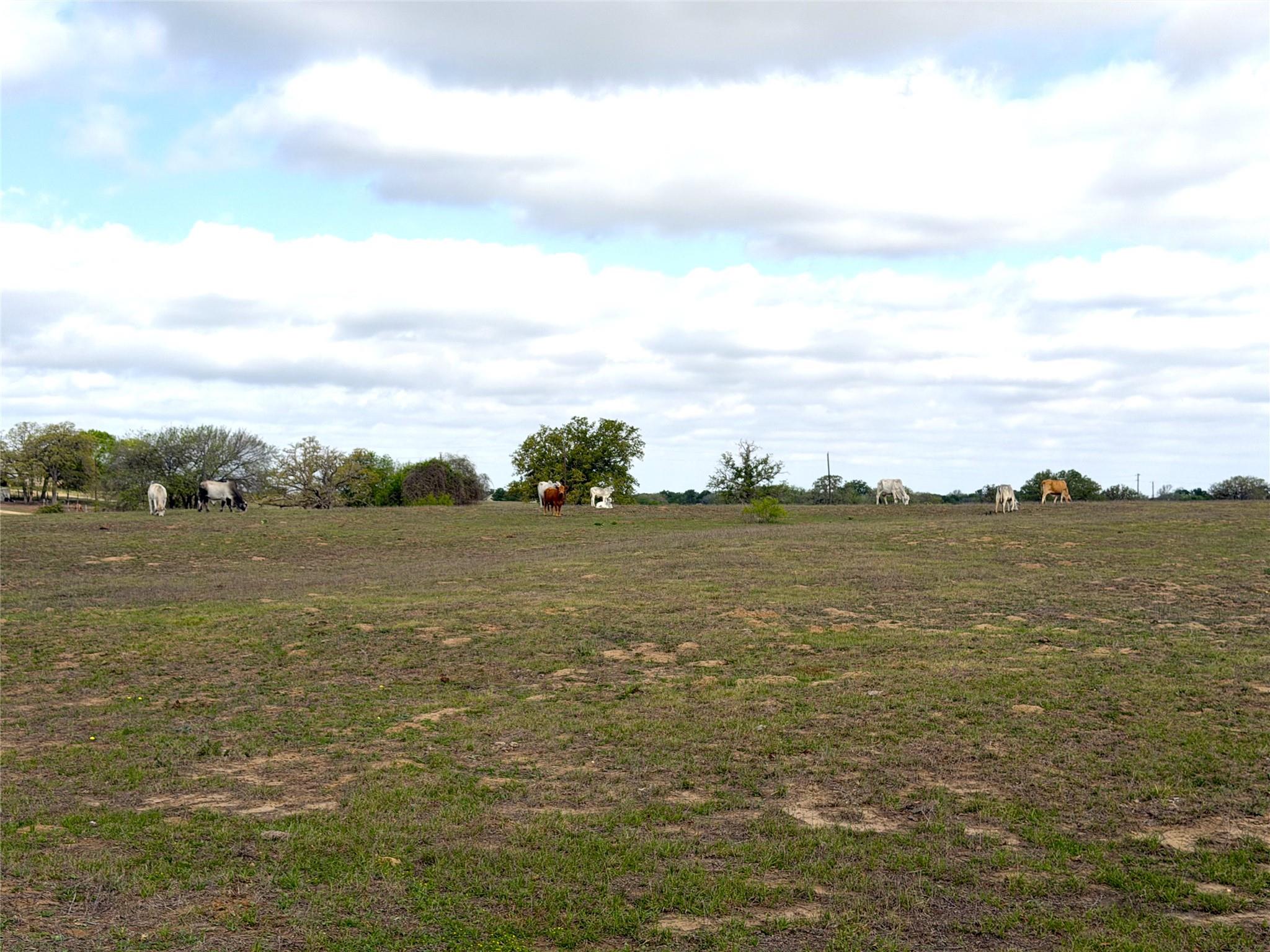 000 Old Kelley Rd Property Photo 13