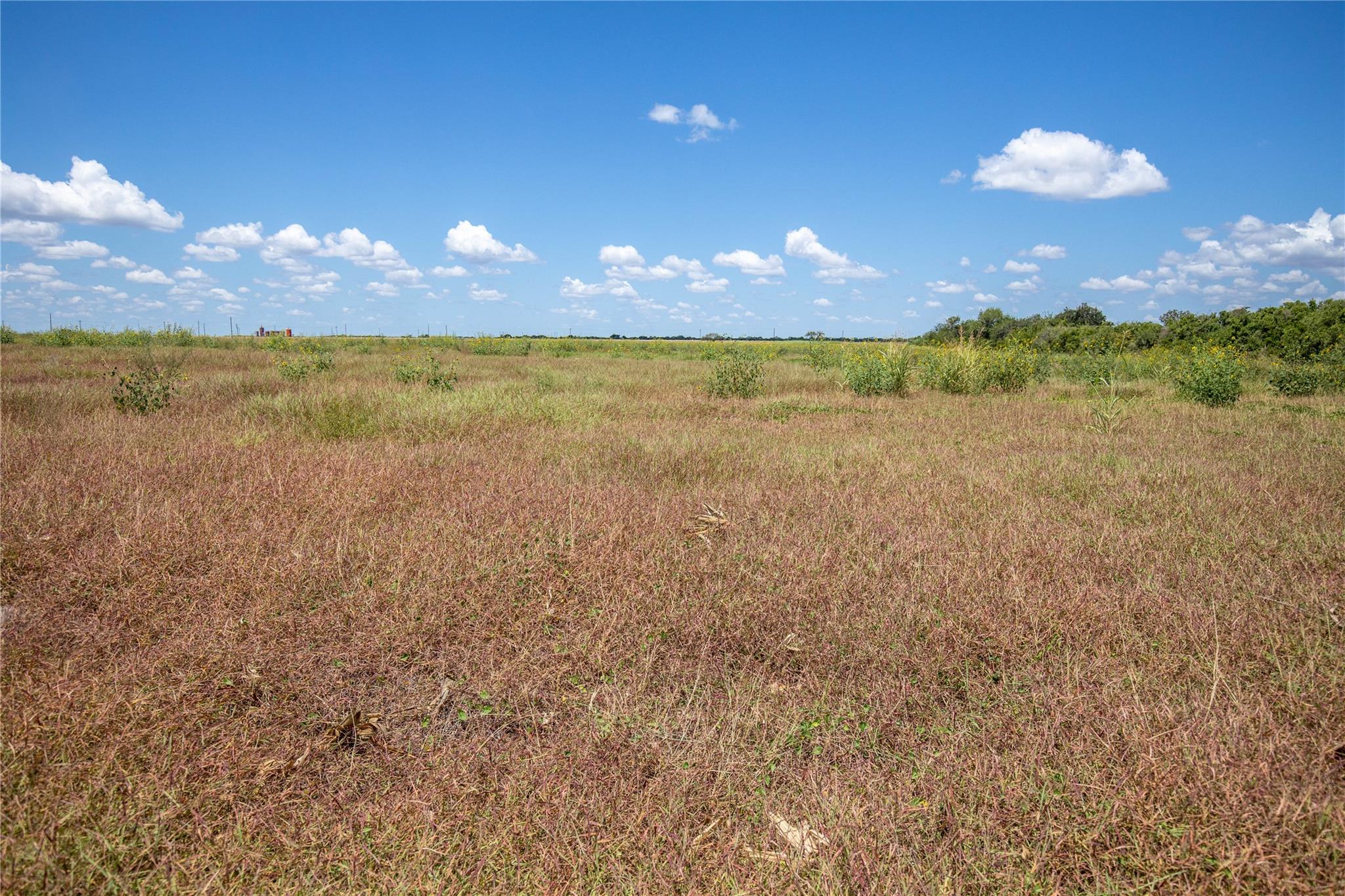 0 County Road 647 None Property Photo 19