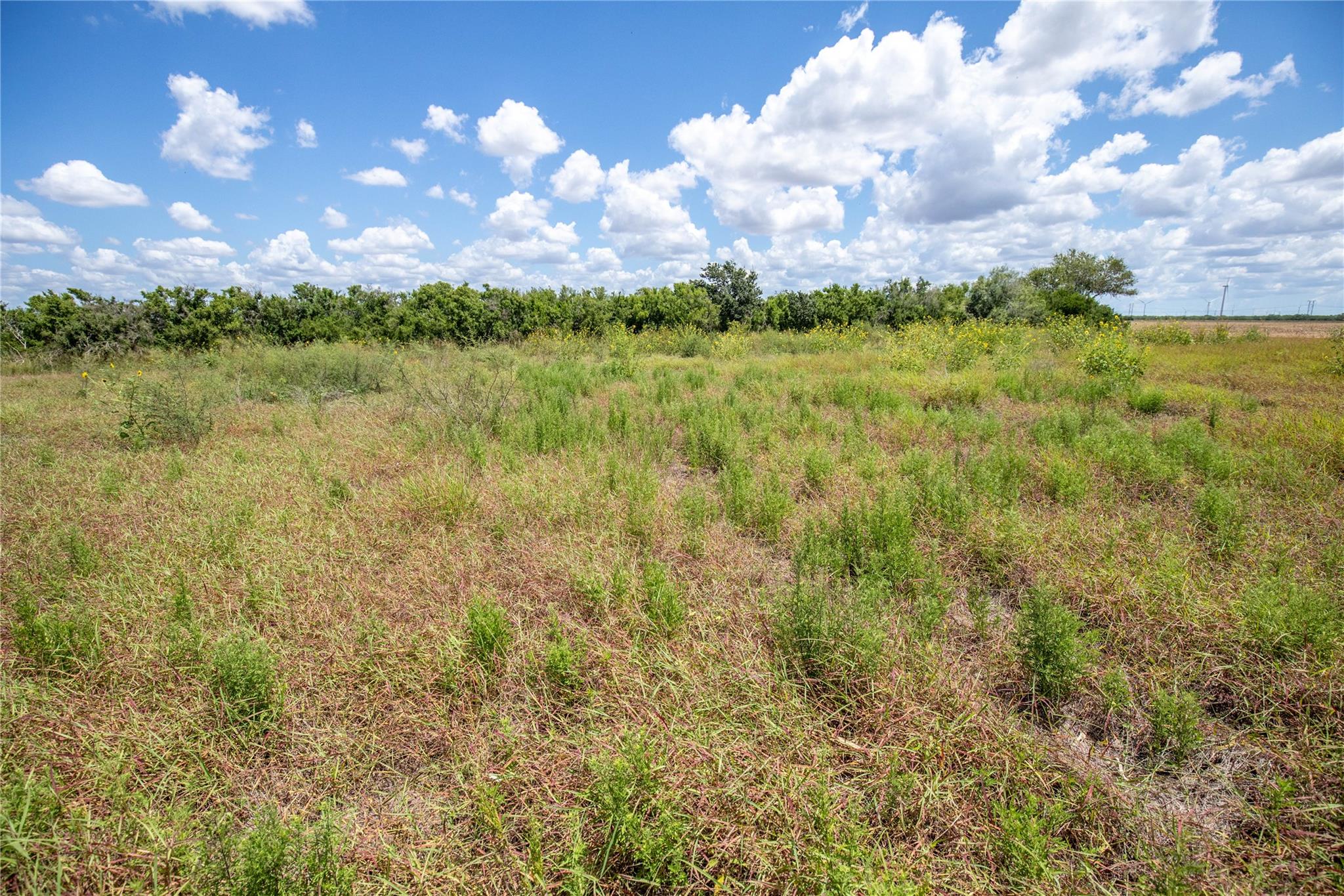 0 County Road 647 None Property Photo 21