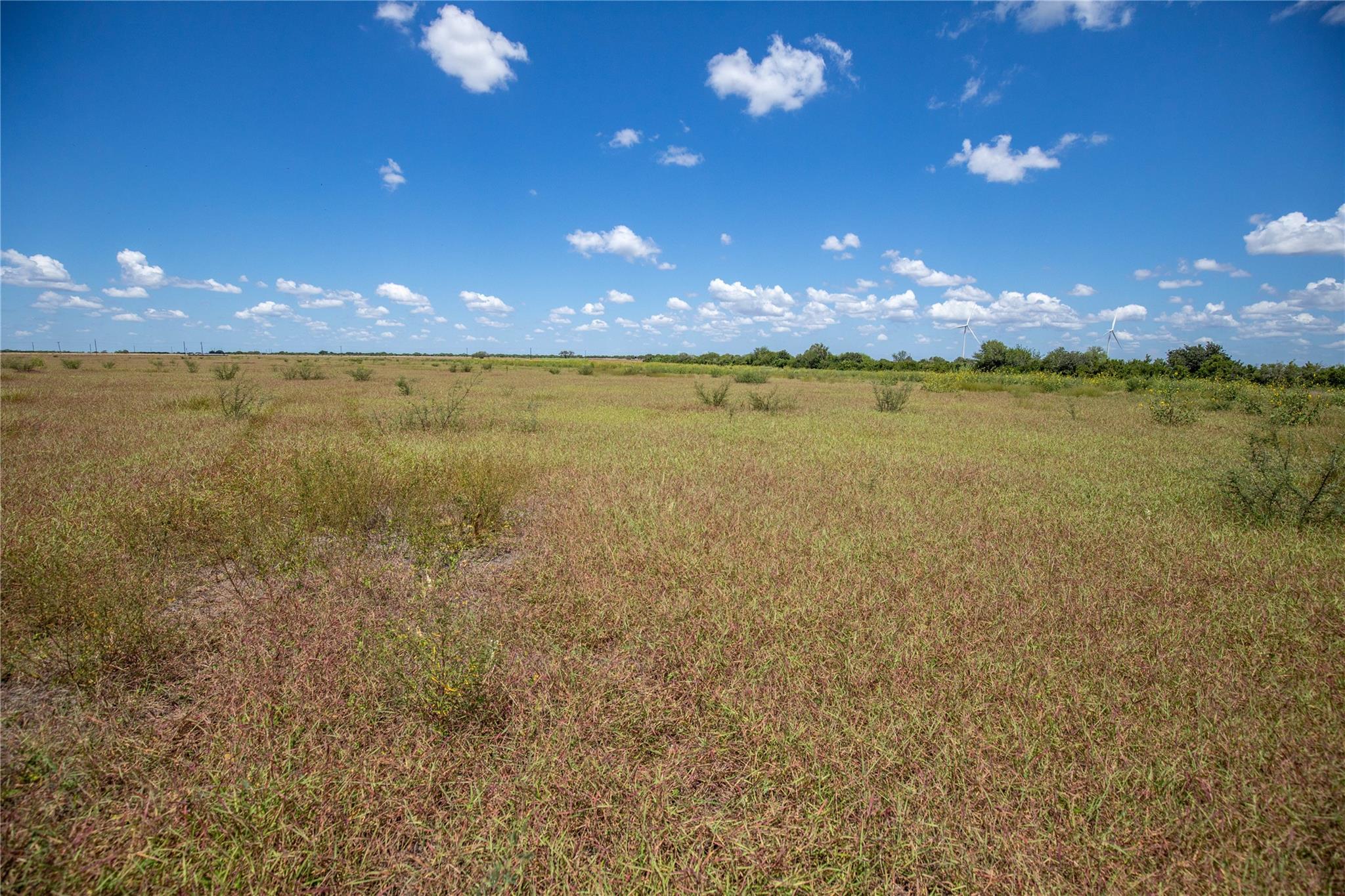 0 County Road 647 None Property Photo 25