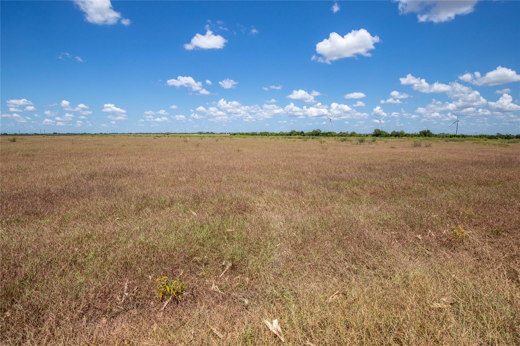 0 County Road 647 None Property Photo 27
