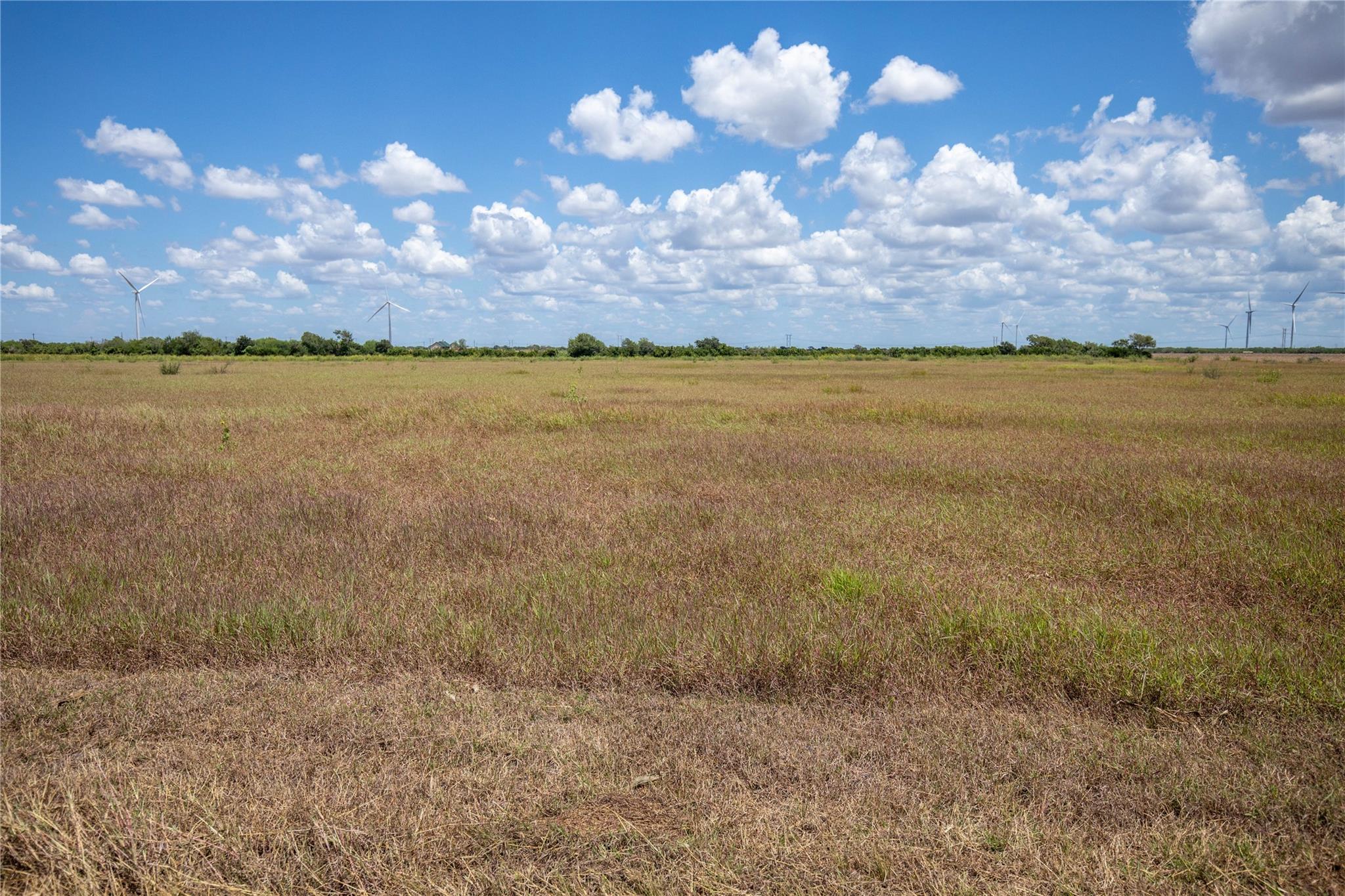 0 County Road 647 None Property Photo 28