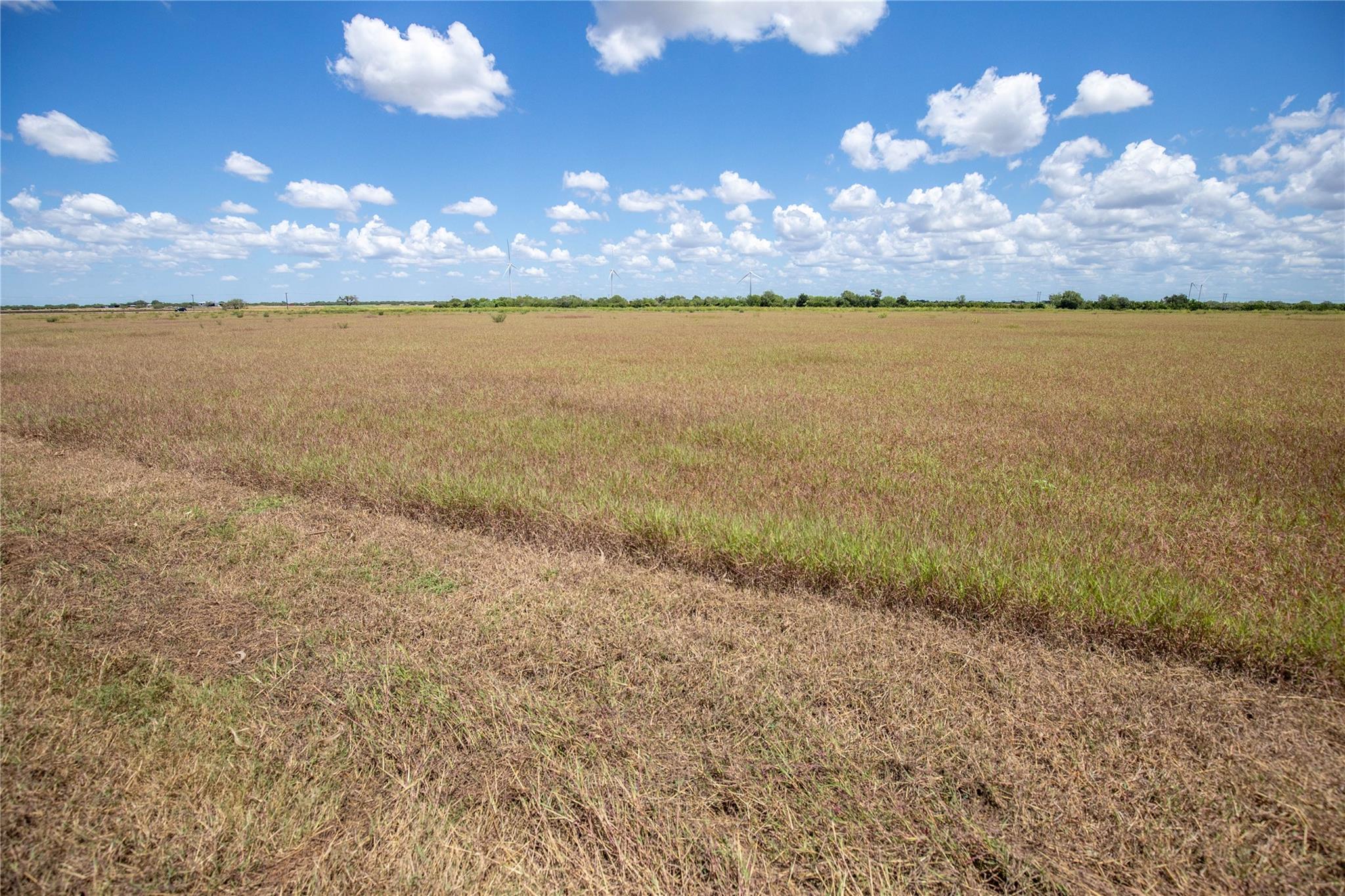0 County Road 647 None Property Photo 29
