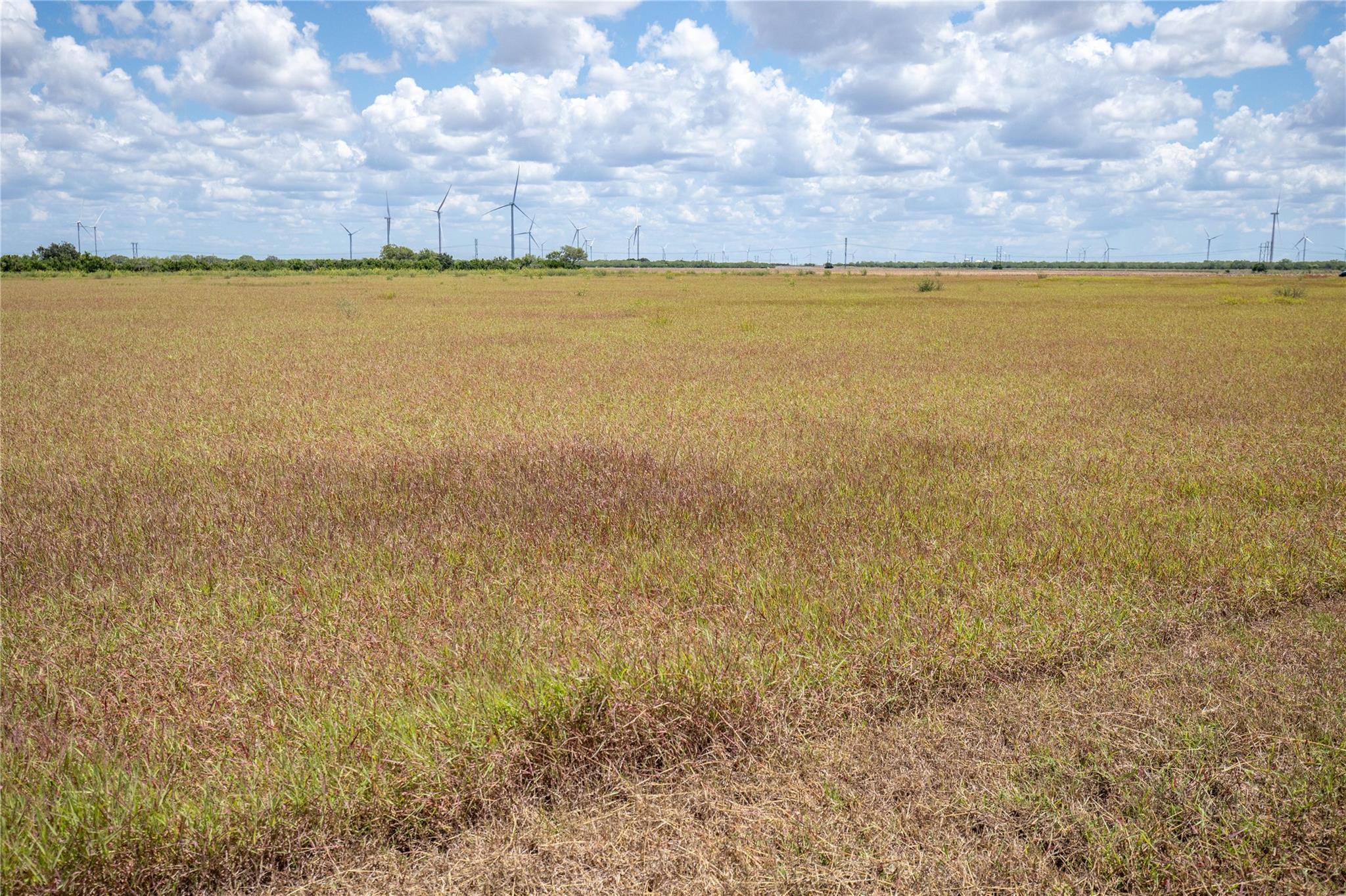 0 County Road 647 None Property Photo 32