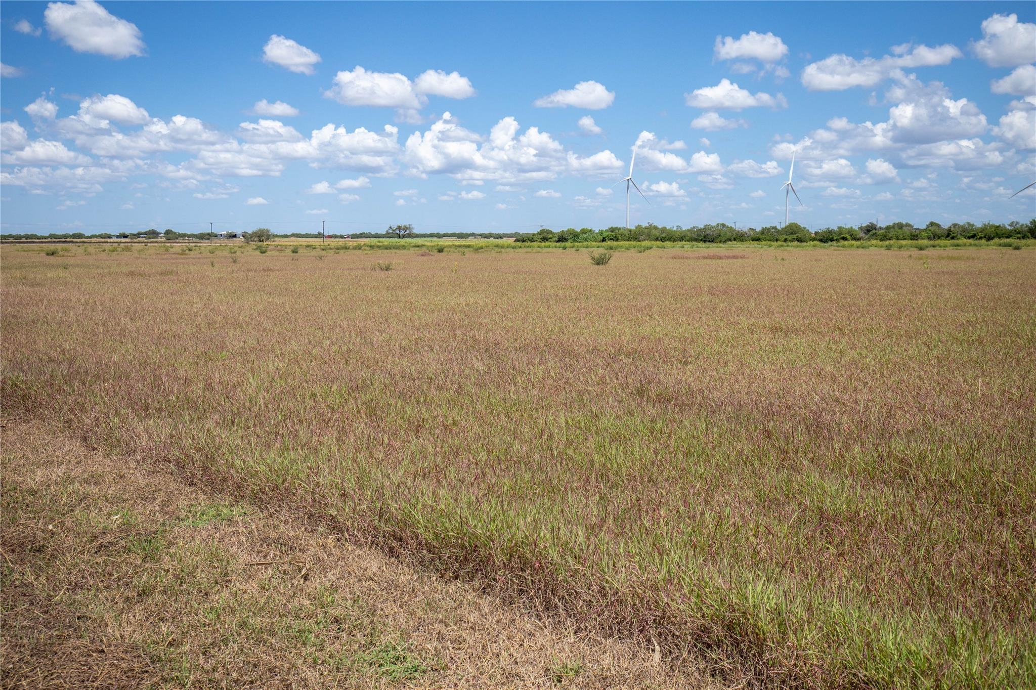 0 County Road 647 None Property Photo 33