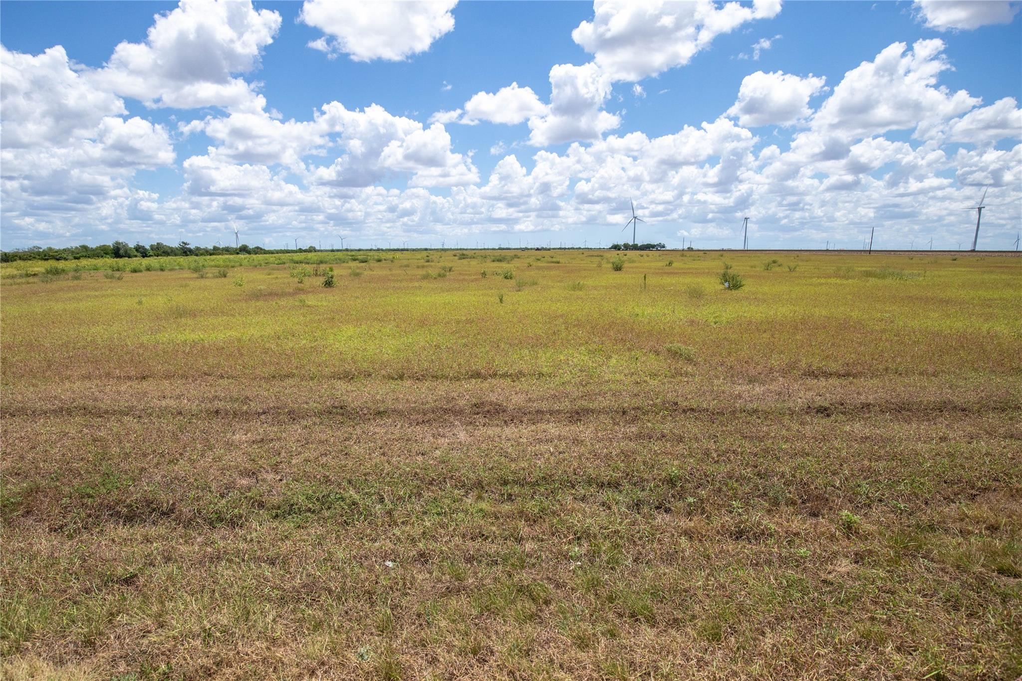 0 County Road 647 None Property Photo 35