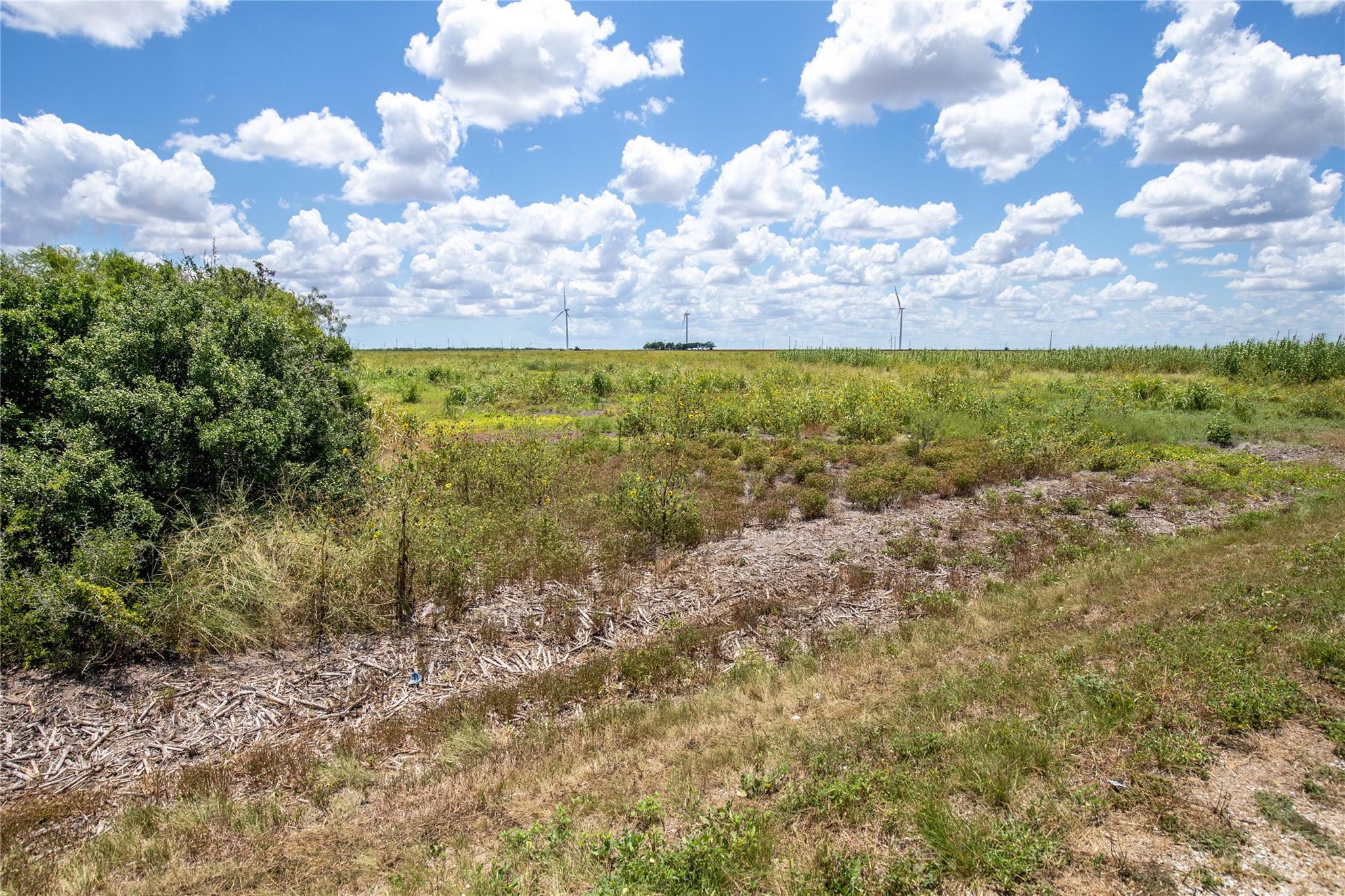 0 County Road 647 None Property Photo 36