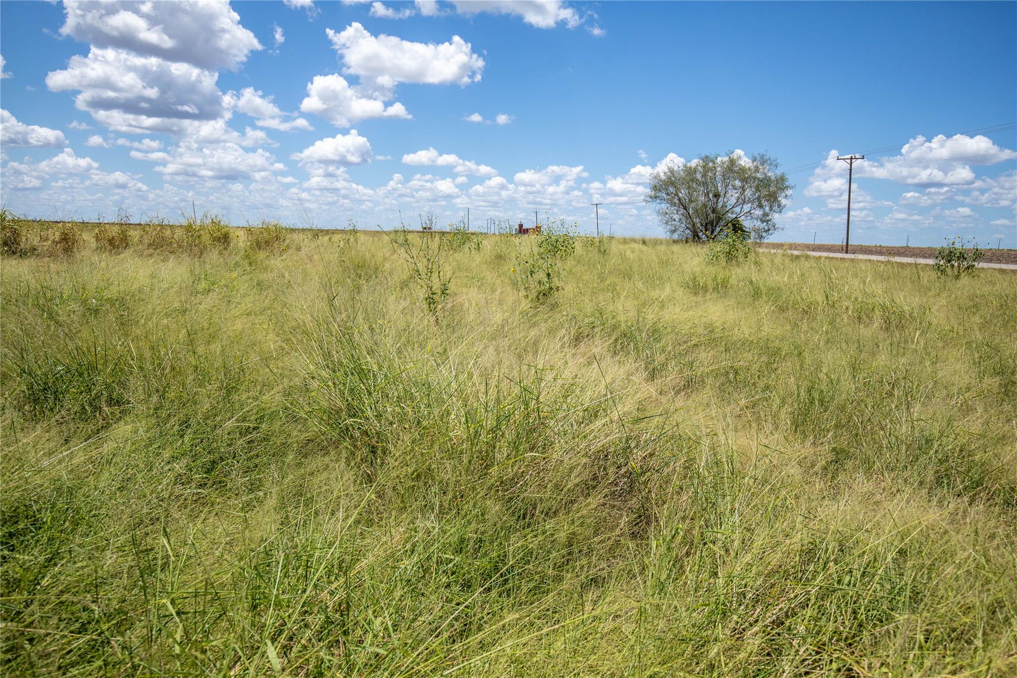 0 County Road 647 None Property Photo 37