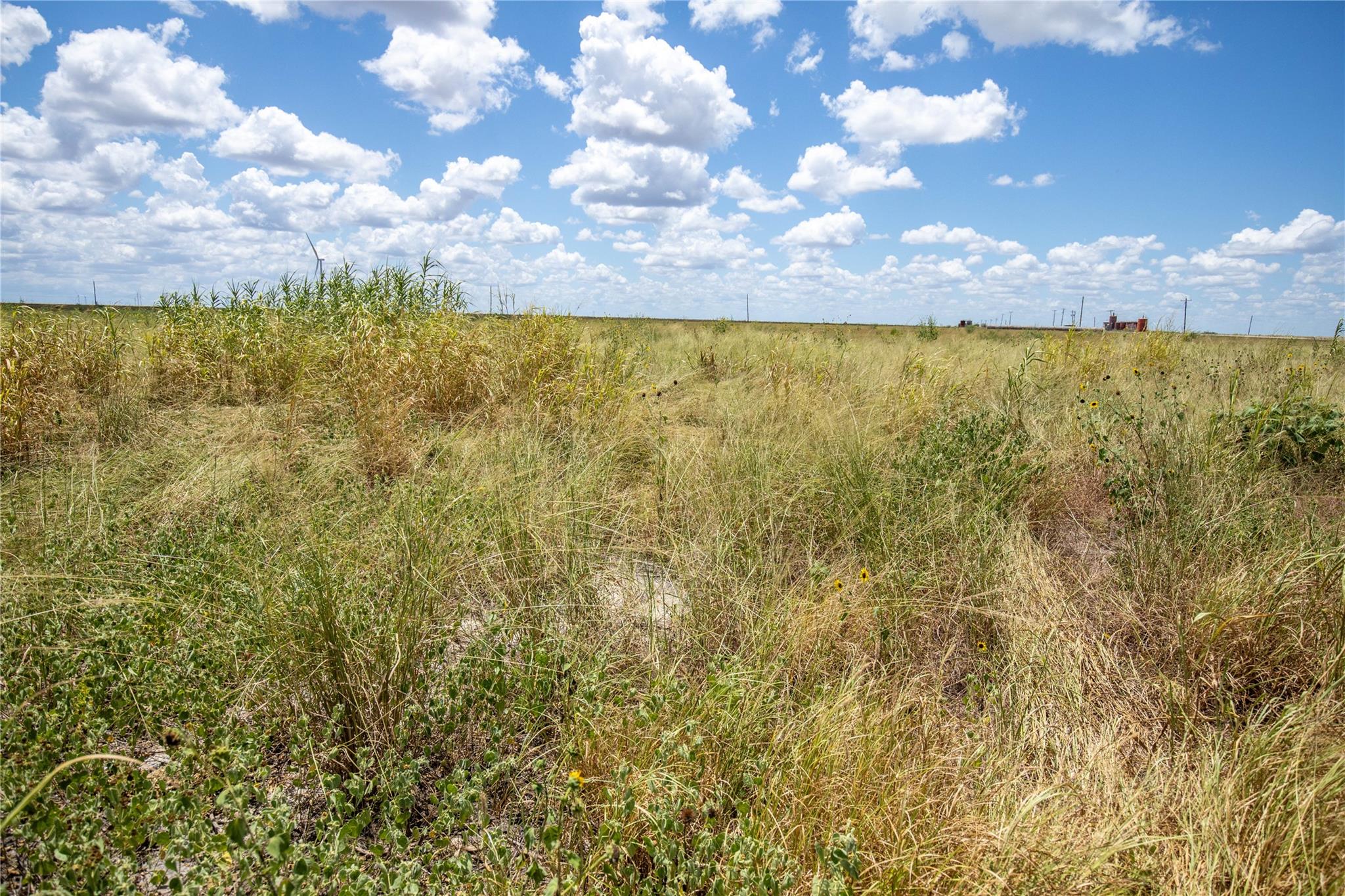 0 County Road 647 None Property Photo 38