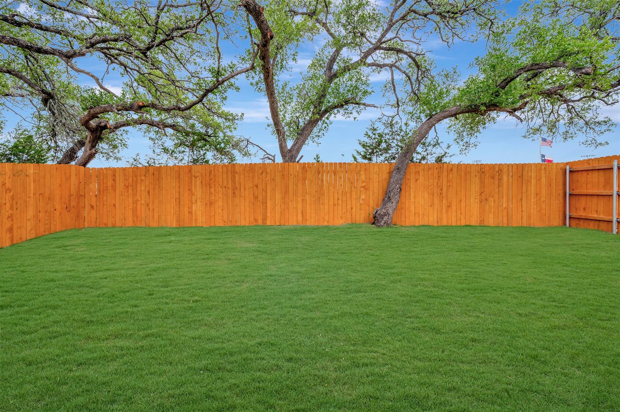 174 Norway Spruce St Property Photo 33