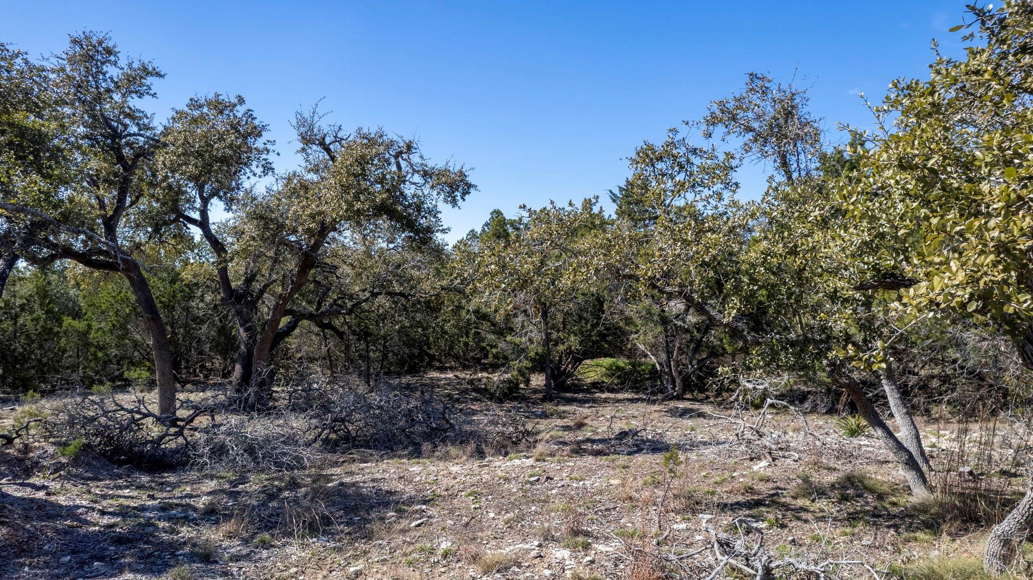 13510 Trautwein Rd Property Photo 1
