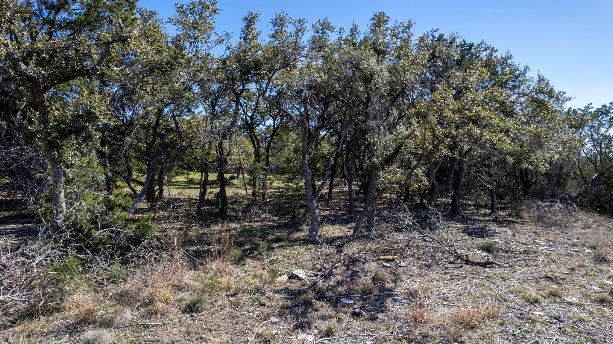 13510 Trautwein Rd Property Photo 29