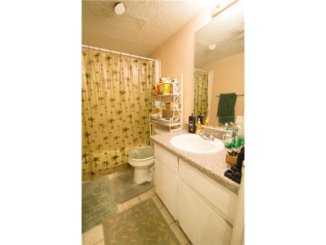 2401 Leon St #300 Property Photo 11