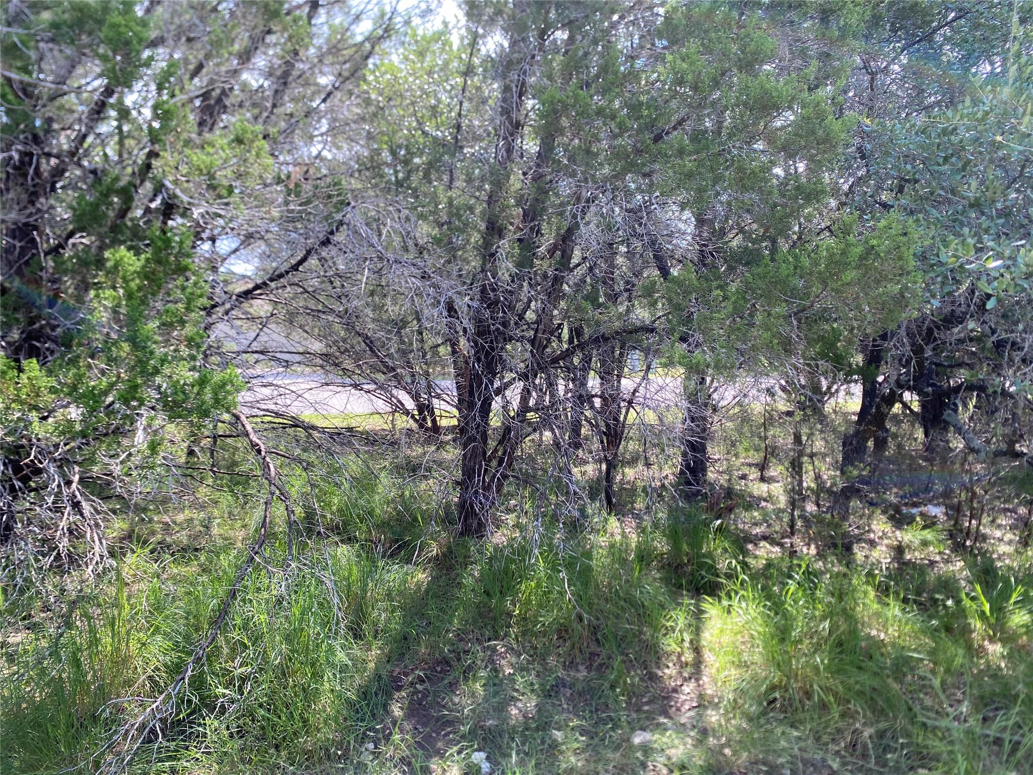 21105 Santa Rosa Ave Property Photo 7
