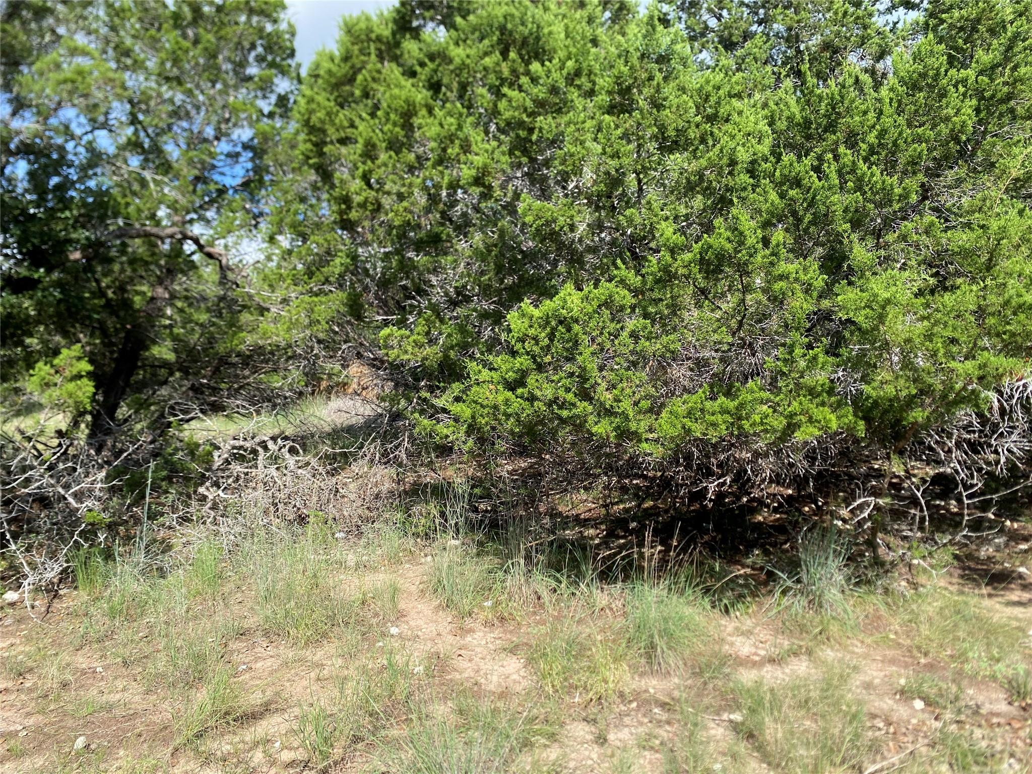 21105 Santa Rosa Ave Property Photo 8
