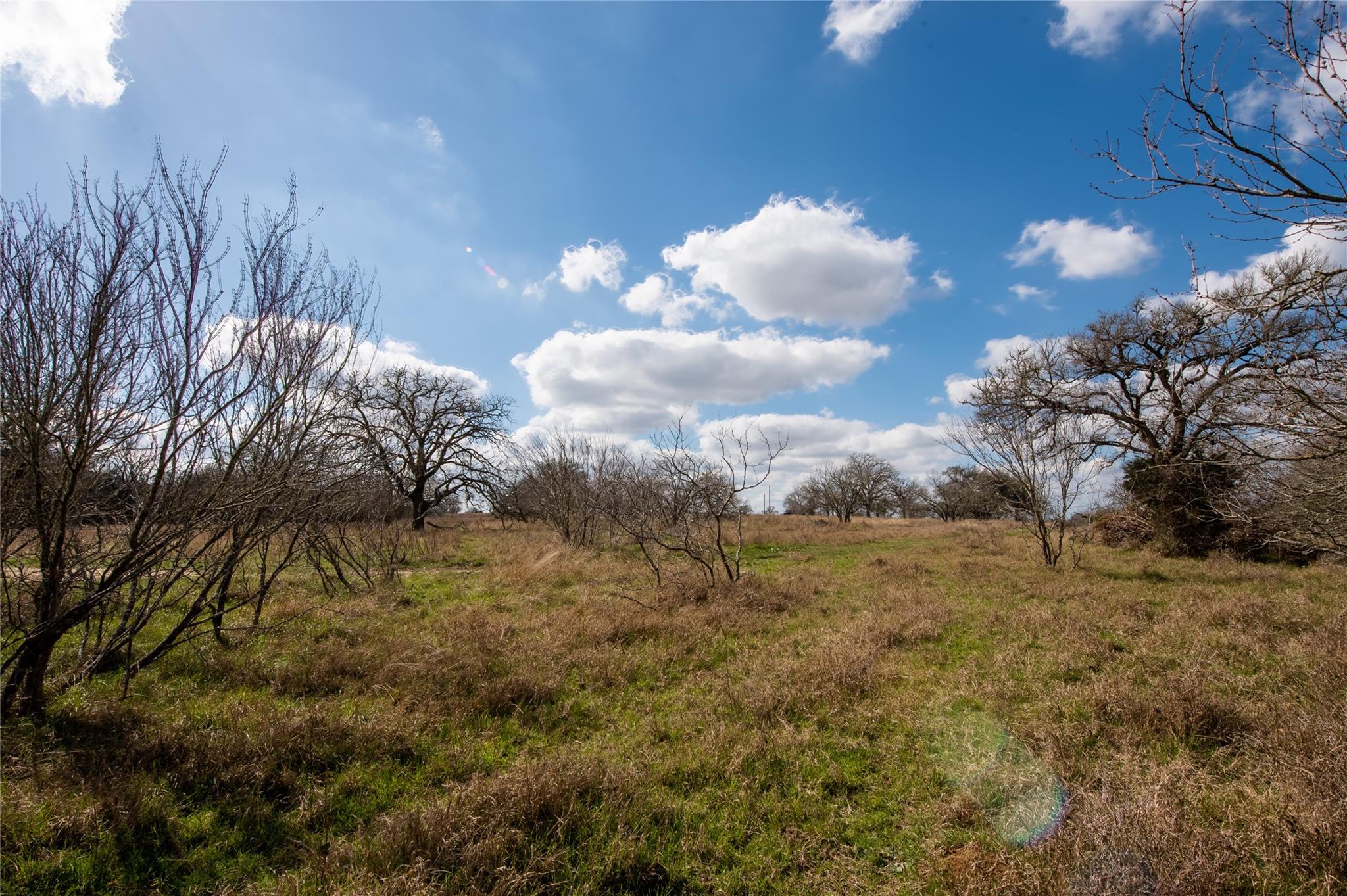Tbd Newmoon Ct Property Photo 16