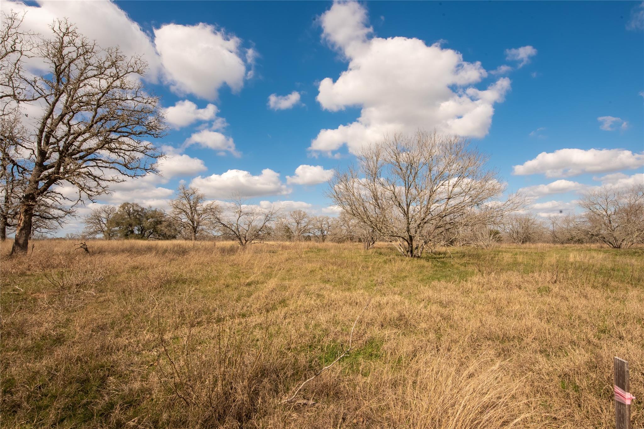Tbd Newmoon Ct Property Photo 18