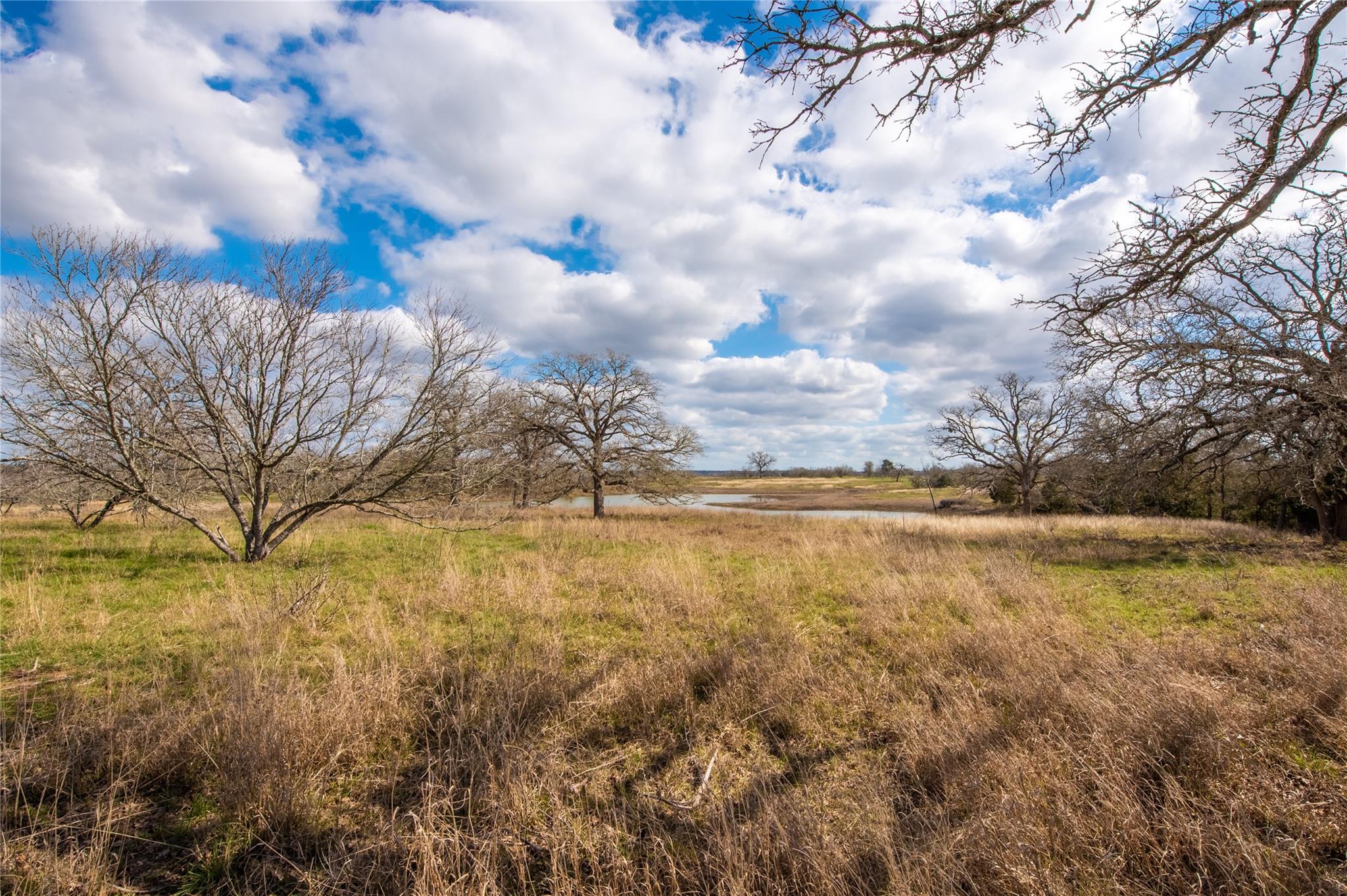 Tbd Newmoon Ct Property Photo 19