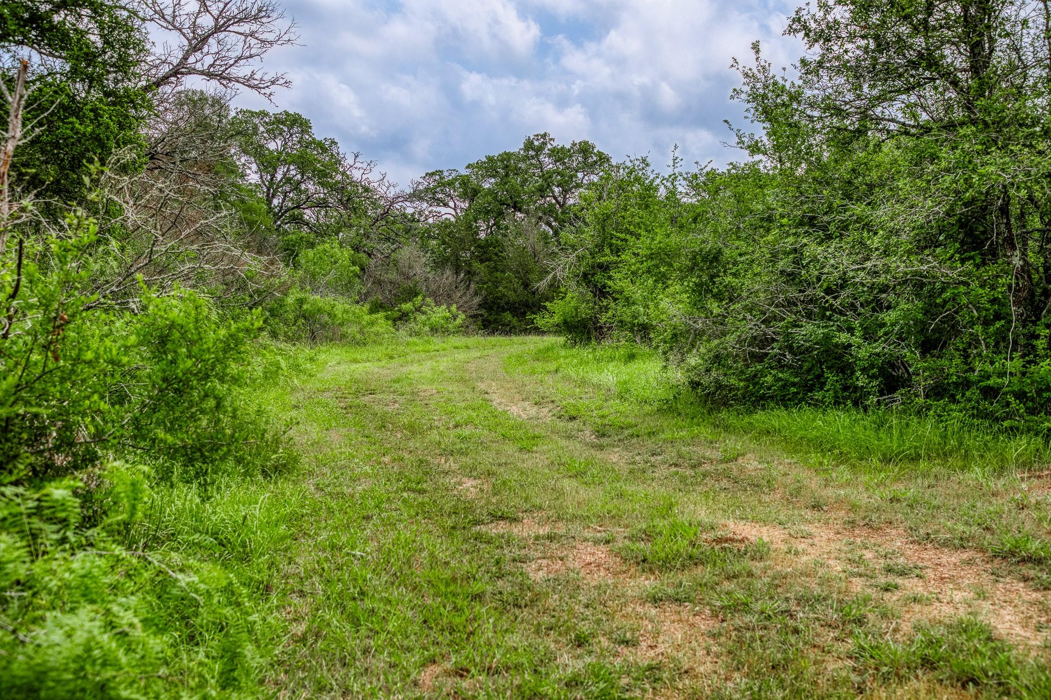 1136 Private Road 4291 Property Photo 6