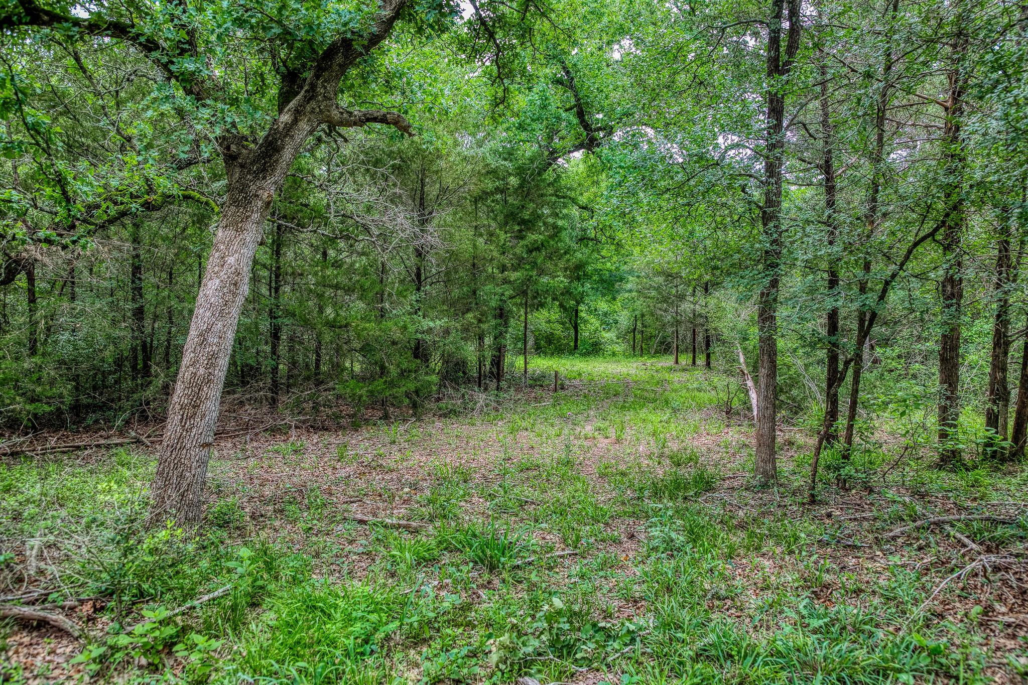 1136 Private Road 4291 Property Photo 11