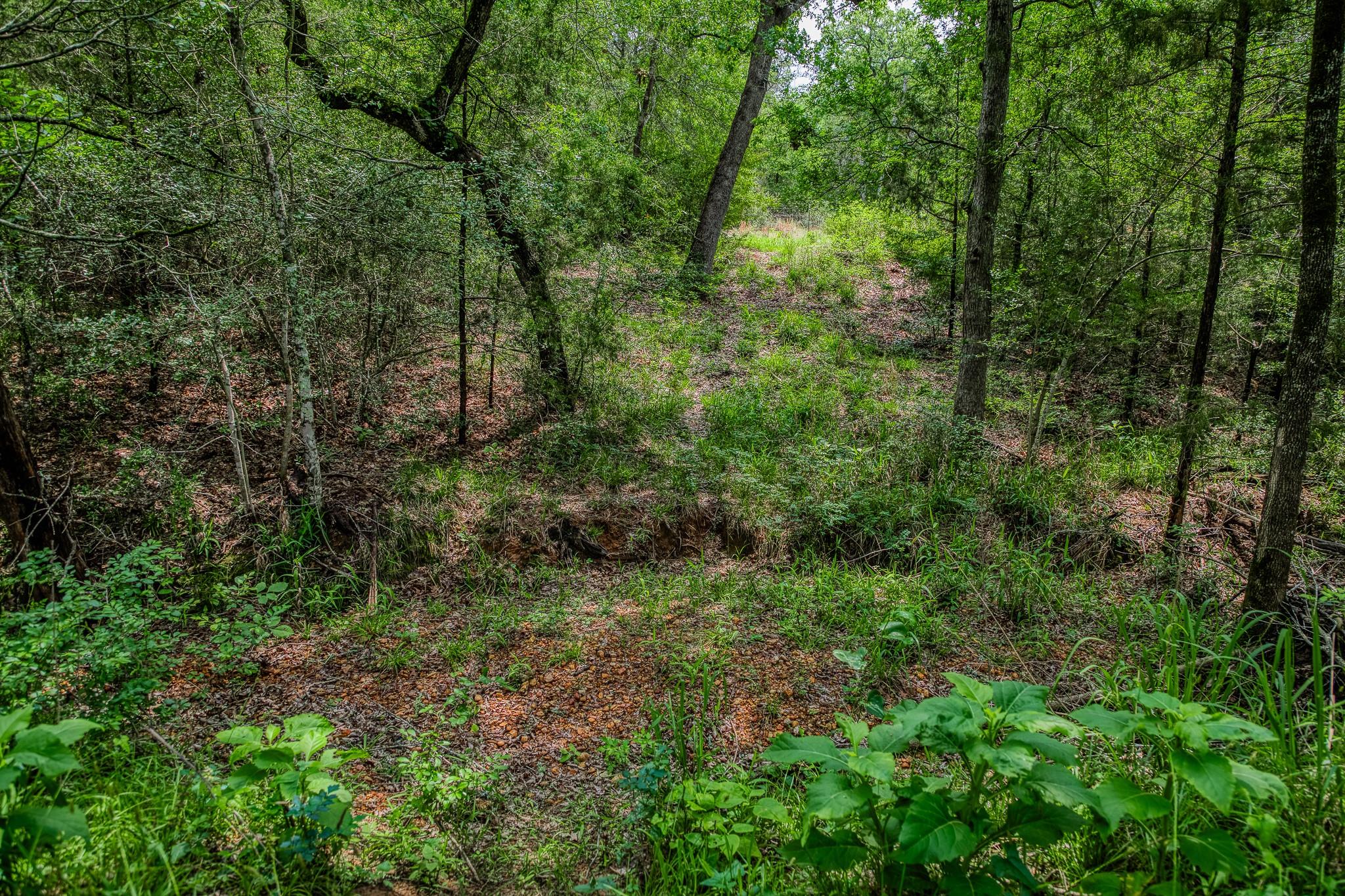 1136 Private Road 4291 Property Photo 13